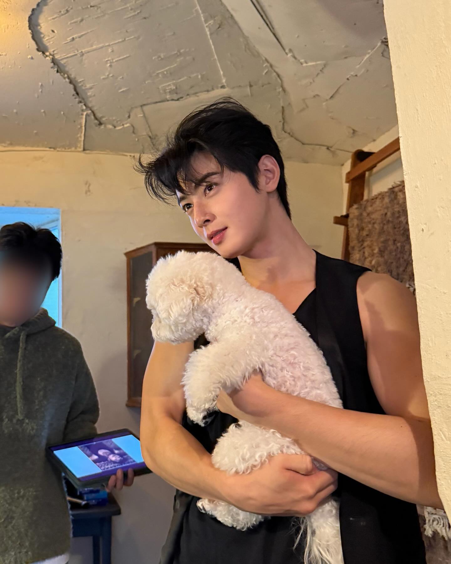 시켜줘, 차은우 강아지.. 이미지