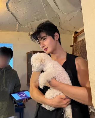 시켜줘, 차은우 강아지.. 이미지