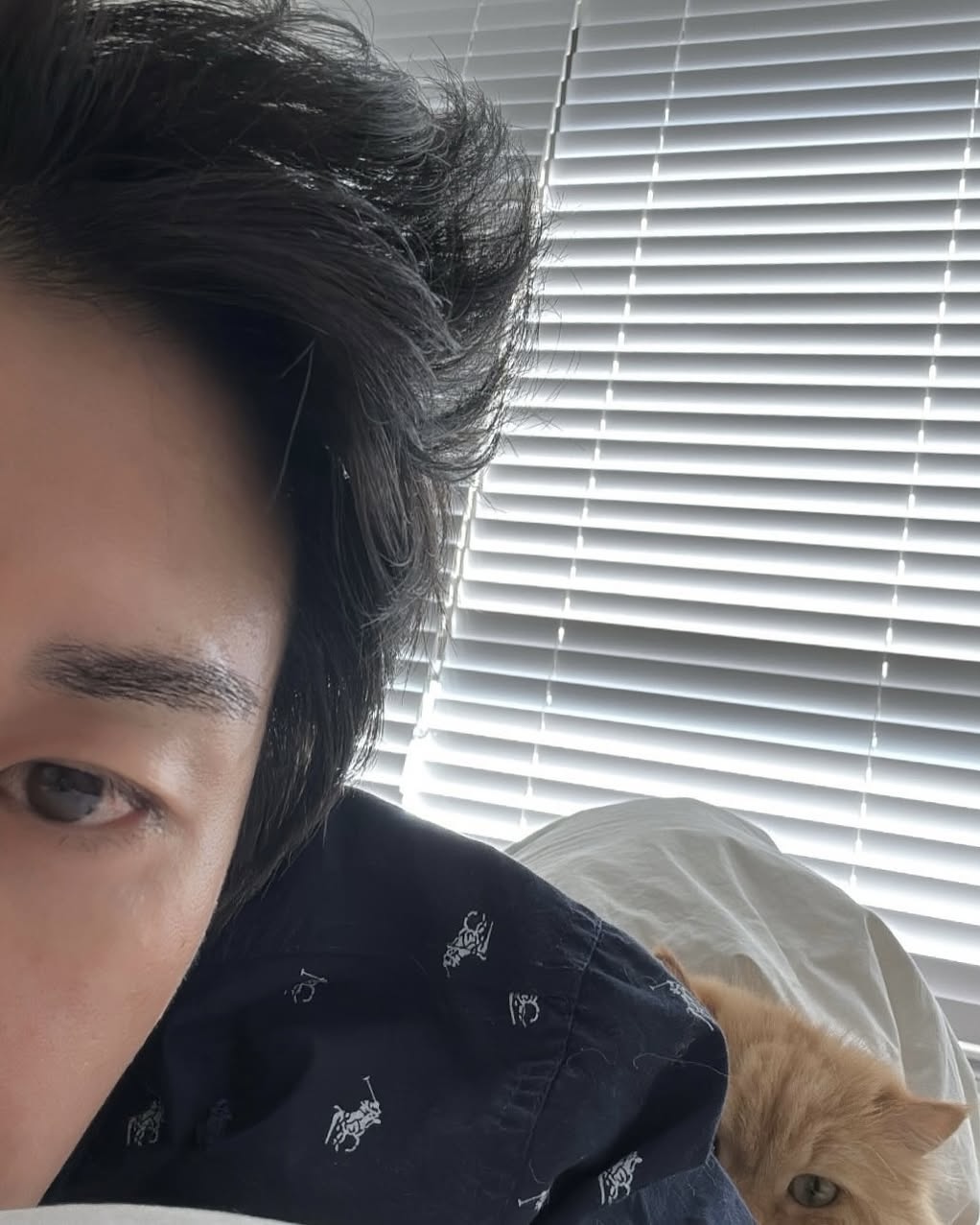 코드쿤스트 이미지