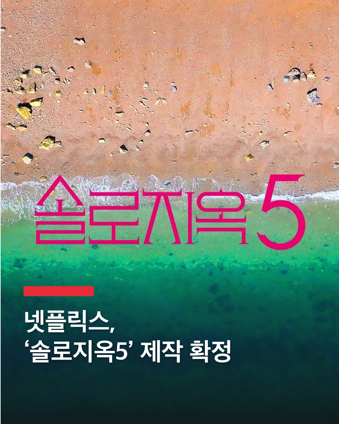 넷플릭스, '솔로지옥5' 제작 확정!🔥

넷플릭스가 '솔로지옥5' 제작을 확정지었습니다. 이번 주 최종회가 공개된 '솔로지옥4' 역시 HOT한 남녀들의 엇갈리는 감정으로 시청자들을 열광케 만들었는데요.

홍진경, 이다희, 규현, 한해, 덱스로 구성된 패널들의 리액션 역시 볼맛을 더하는 '솔로지옥', 5번째 시즌도 오직 넷플릭스에서 만나보세요. 이미지