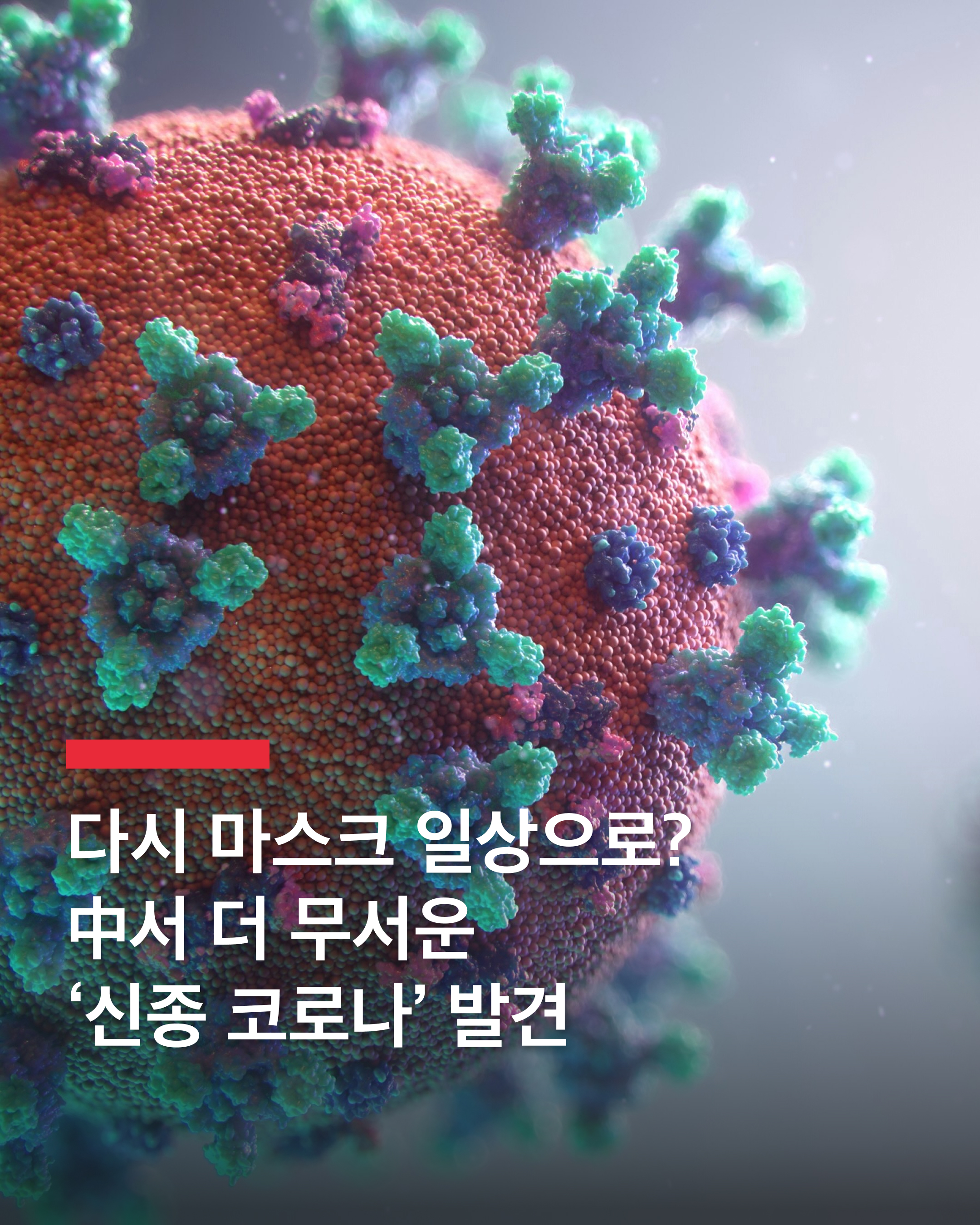 중국서 신종 코로나바이러스 발견🦠

중국 우한에서 새로운 코로나바이러스(HKU5-CoV-2)가 발견되며 우려가 커지고 있습니다.

사우스차이나모닝포스트(SCMP)에 따르면, 중국 연구진은 박쥐에서 인간으로 전염될 가능성이 높은 이 바이러스를 확인했습니다. 특히, 이번 연구를 주도한 시정리 박사는 HKU5-CoV-2가 인간의 ACE2 수용체와 결합하는 특성을 가져 일반 감기 바이러스와 유사하지만, 감염력은 더 강력할 수 있다고 경고했습니다.

연구진은 극저온 전자현미경(Cryo-EM) 기술을 통해 HKU5-CoV-2가 인간 세포뿐만 아니라 장기 조직까지 감염시킬 수 있음을 확인했습니다. 해당 바이러스는 메르스(MERS)를 유발하는 메르베코바이러스 그룹에 속하며, 직접 전염되거나 중간 숙주를 통해 인간에게 확산될 가능성이 높은 것으로 분석됐습니다.

이에 따라, 신종 코로나바이러스의 전파 가능성을 면밀히 모니터링해야 한다는 경고가 이어지고 있습니다. 이미지