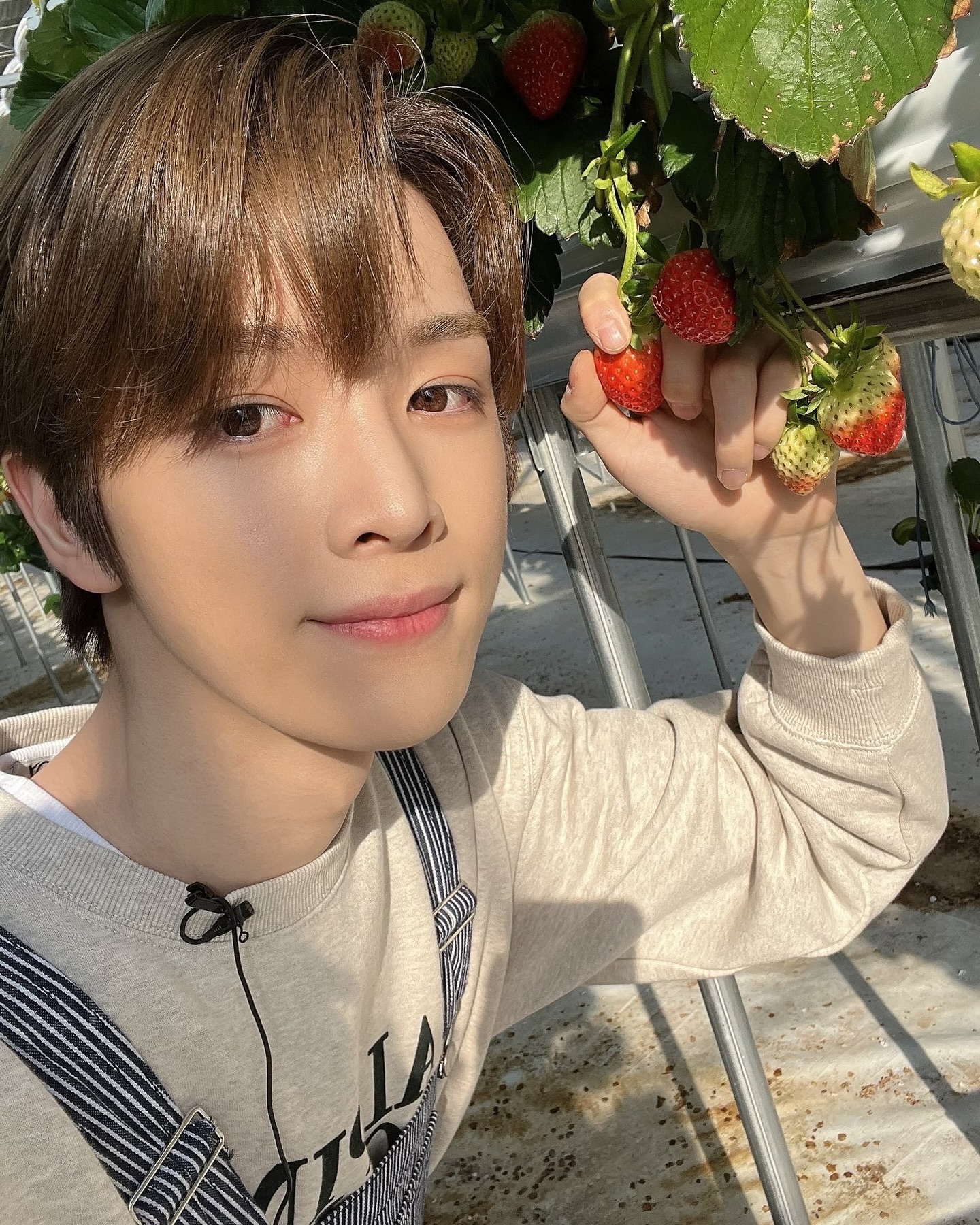 2/27 오늘은 국제 딸기의 날🍓
상큼하게 딸기 들고 사진 찍어볼까?❤️ 이미지2