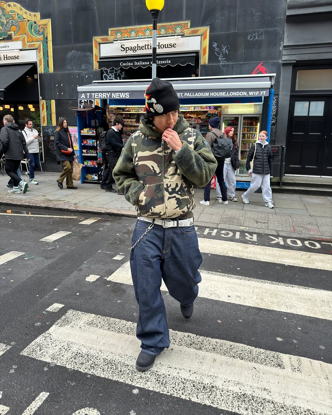 어디든 잘어울리는 카모플리스🫡 이미지