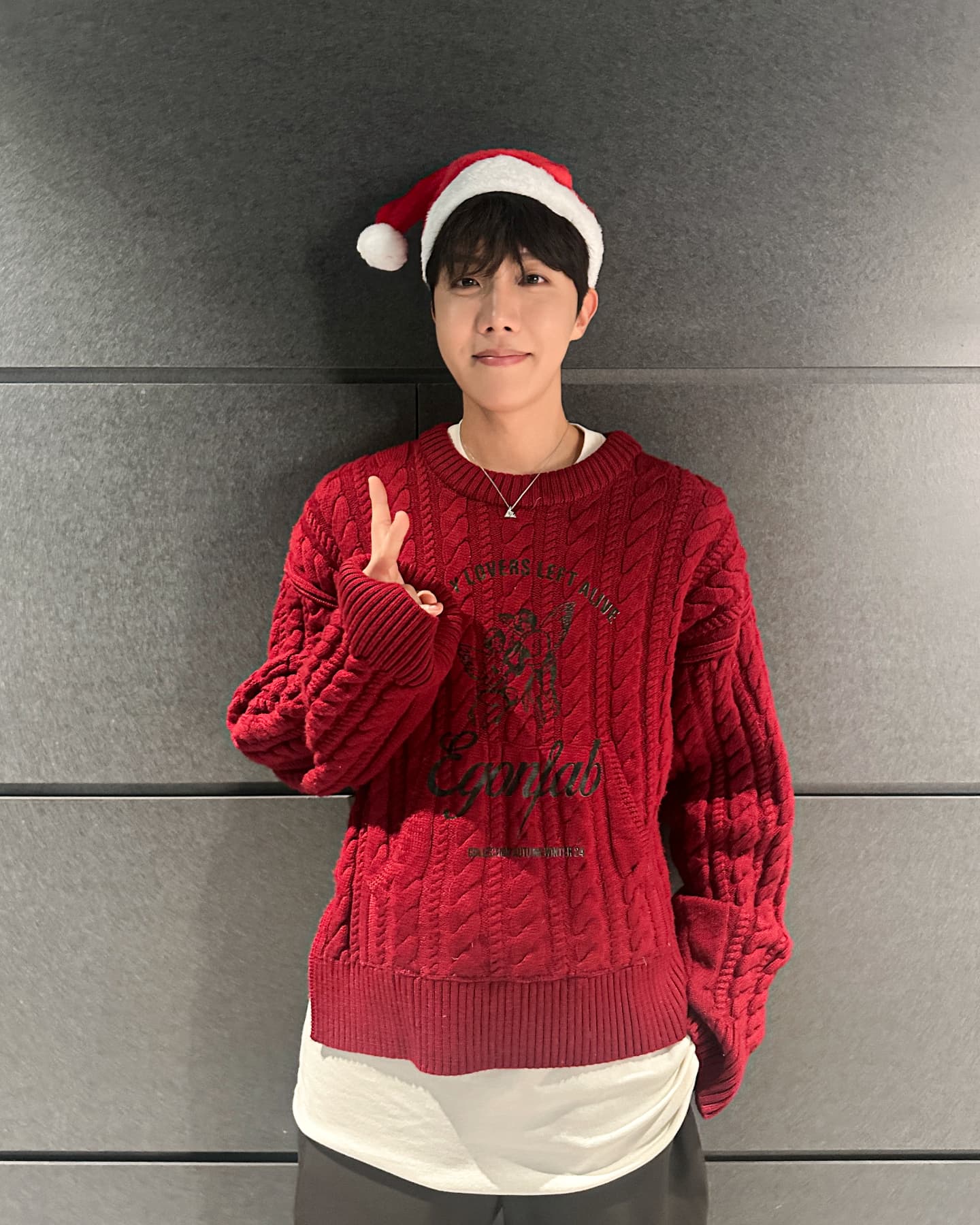 BTS 제이홉, 생일 맞아 서울아산병원 어린이병원에 2억 기부💜
그룹 BTS의 제이홉이 자신의 생일인 2월 18일에 서울아산병원 어린이병원에 2억을 기부했습니다.
제이홉은 매년 기부를 이어왔으며, 앞으로도 계속 기부를 이어갈 것이라고 밝혔는데요.
기부금은 소아·청소년 환자를 위한 진료 시설 및 의료 환경 개선과 소아 중증·희귀 난치병 연구 등에 사용될 예정입니다.
제이홉은 "어린이들이 건강하고 희망찬 미래를 꿈꿀 수 있기를 진심으로 응원한다. 올해 생일을 시작으로 매년 기부를 이어가게 돼 정말 뜻깊게 생각한다"고 따뜻한 마음을 전했습니다. 이미지