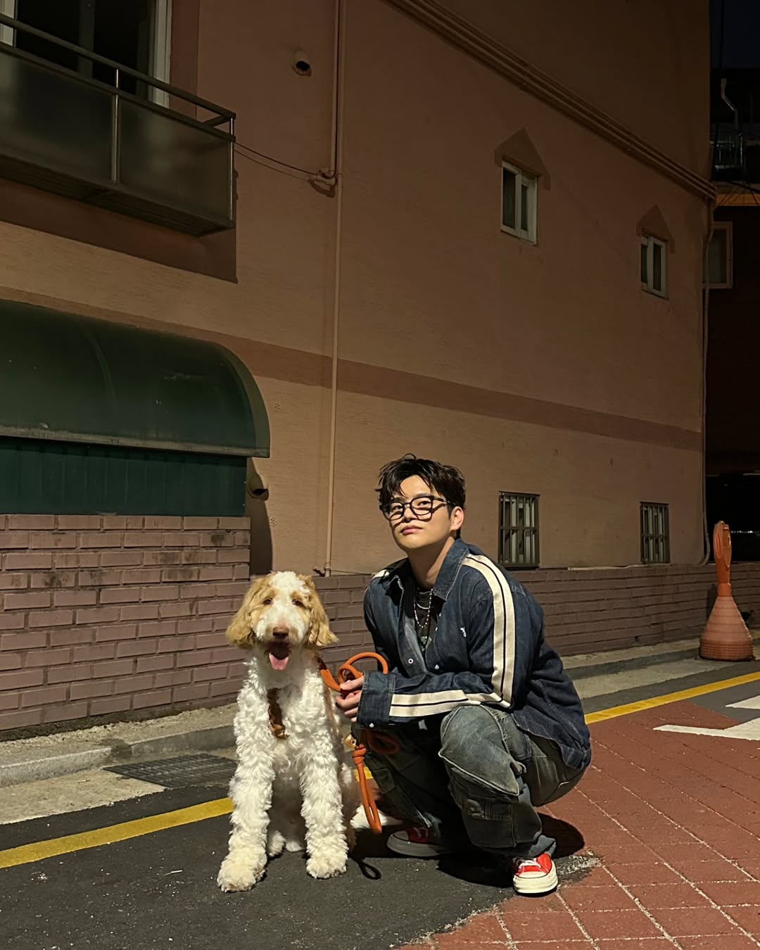 척테일러만한게 없다⭐️ 이미지