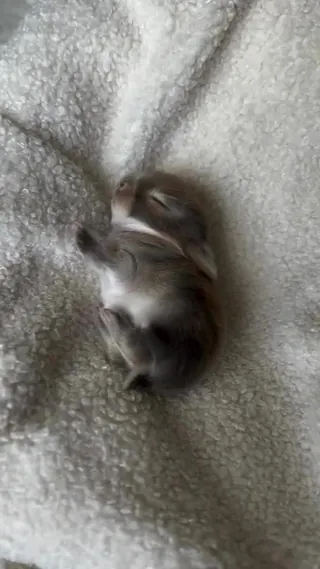 이런 생명체가 존재하다니🫢 이미지