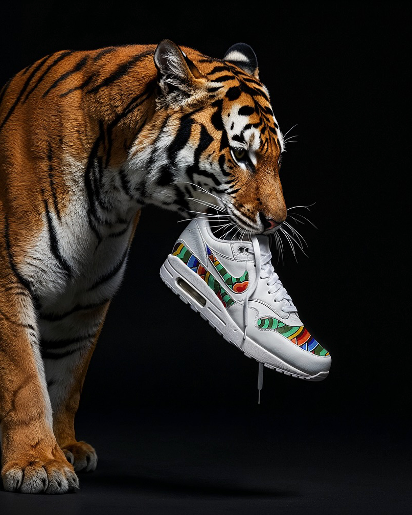 조선의 나이키 슈즈🇰🇷👟

전통의 컬러 단청과 짚신의 나이키화!

AI가 상상한 '한국적인 나이키'는 단순한 운동화 그 이상입니다.

한복 자락 아래서 빛나는 단청 커스텀 에어맥스, 짚으로 엮은 듯한 '짚포스(Jip-Force)'까지.

AI 아티스트 킵콴의 손끝에서 한국의 멋이 다시 태어났습니다.

조던 서울처럼 새로운 한국 커스텀 제품이 나올지! 이미지2