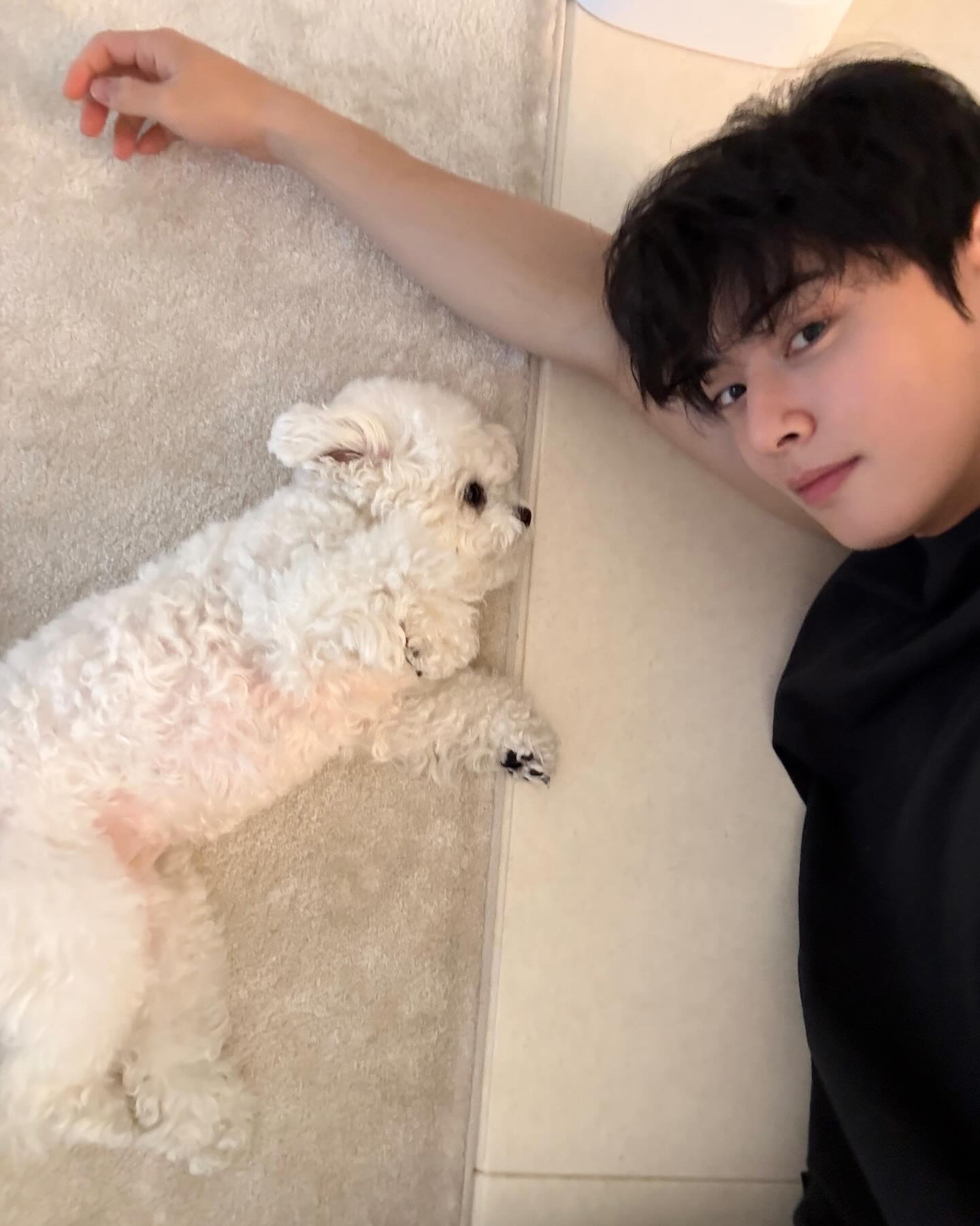 내 귀염둥이랑 이렇게 찰칵🐶📸
반려동물과 함께 찍을 포즈 추천📁 이미지