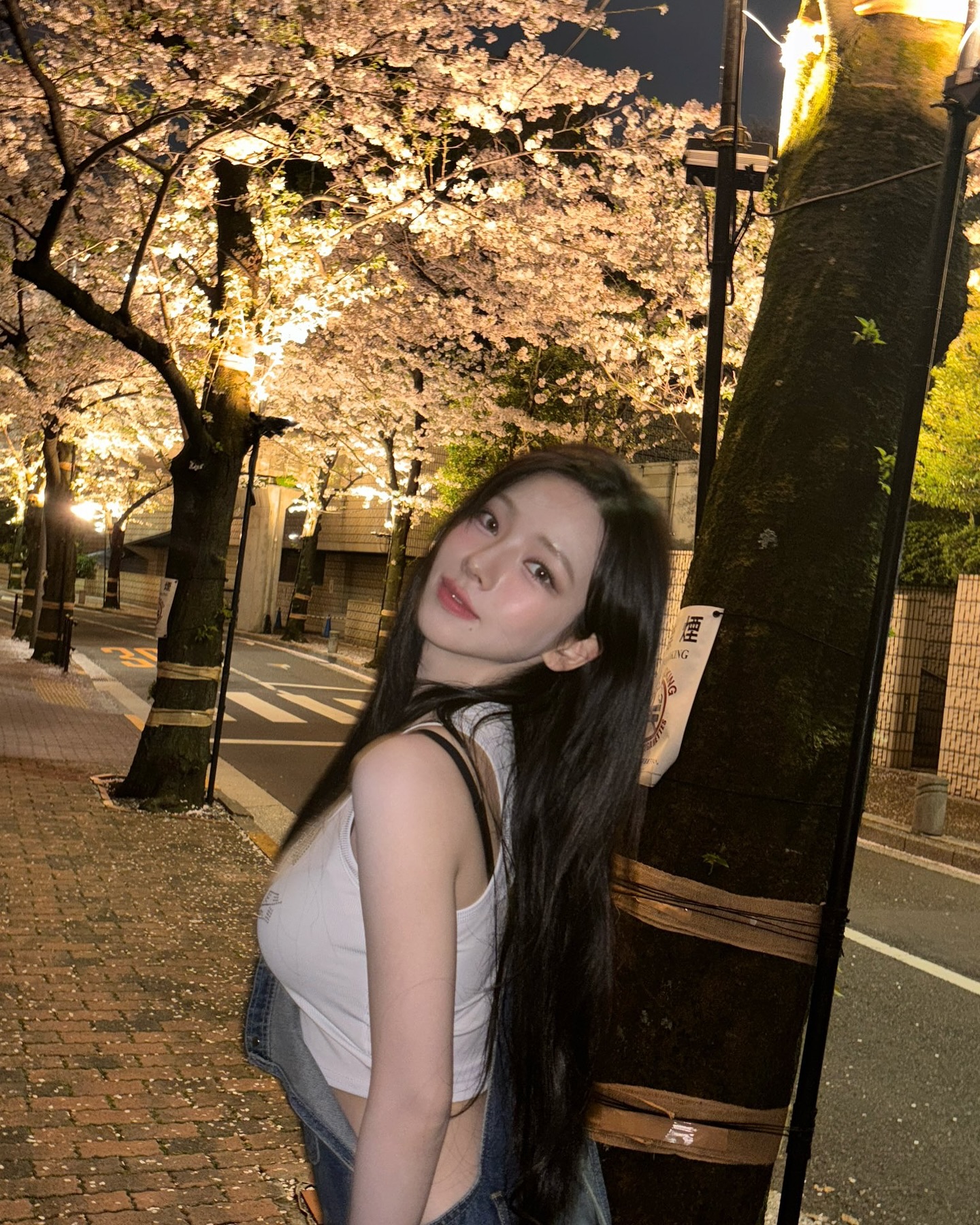 벚꽃 인증샷은 이렇게🌸
이번주가 절정인 벚꽃은 이렇게 사진 남기기📸 이미지