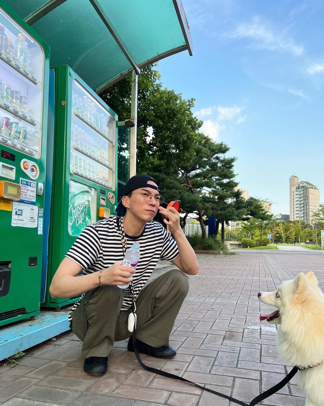 스트라이프 반팔 툭⚓️ 이미지3