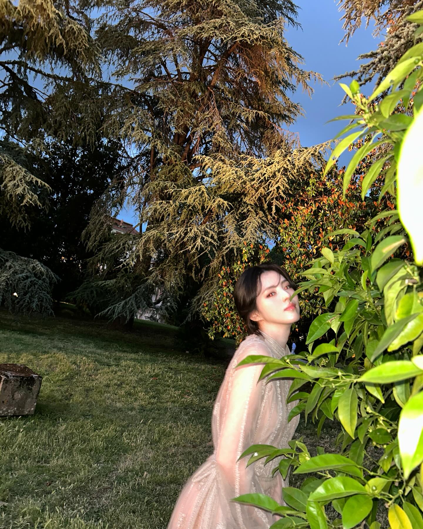 로마에 핀 한소희🌷
디올 드레스보다 더 눈부신 한소희✨ 이미지2