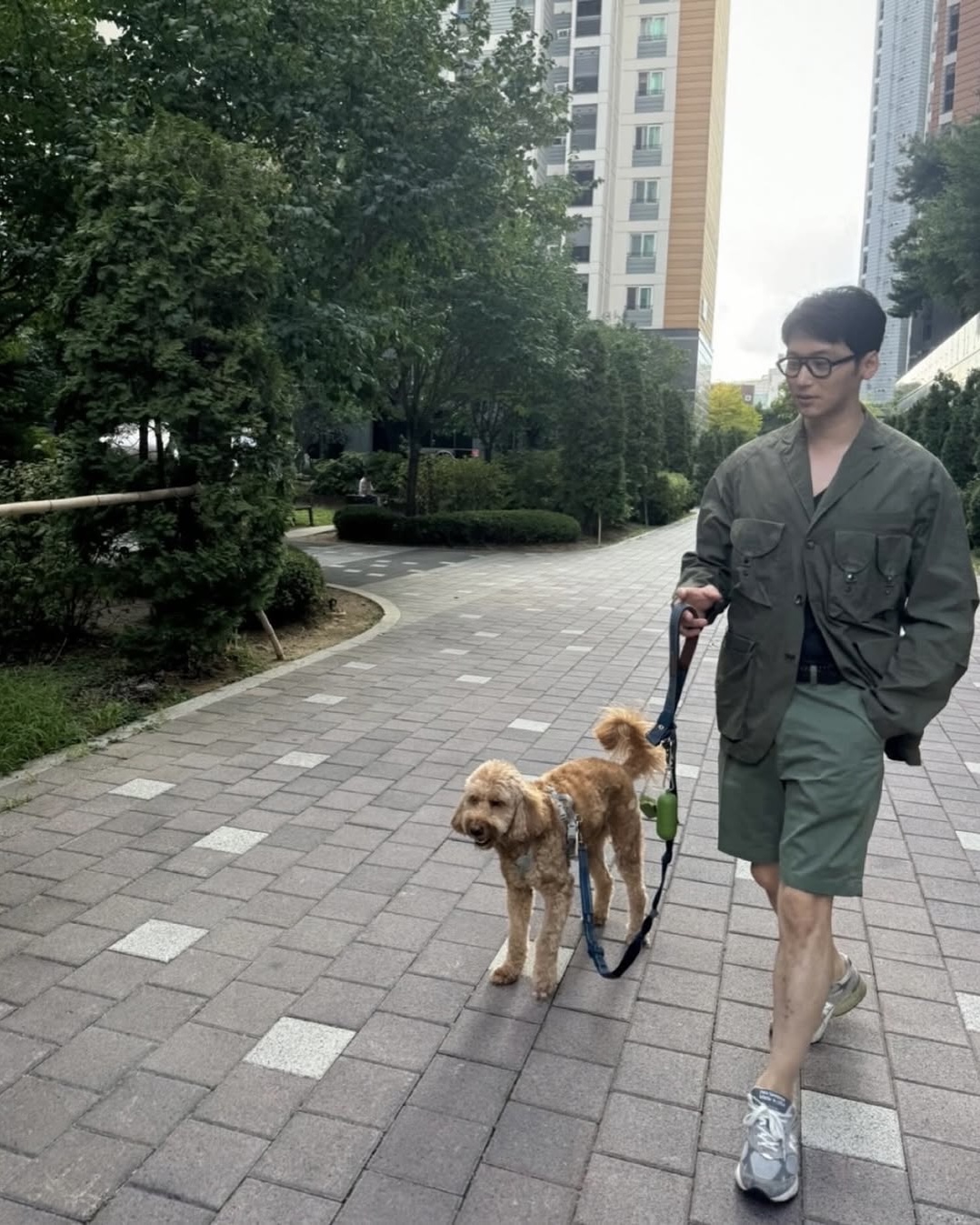 뉴발은 그레이가 근본👟 이미지