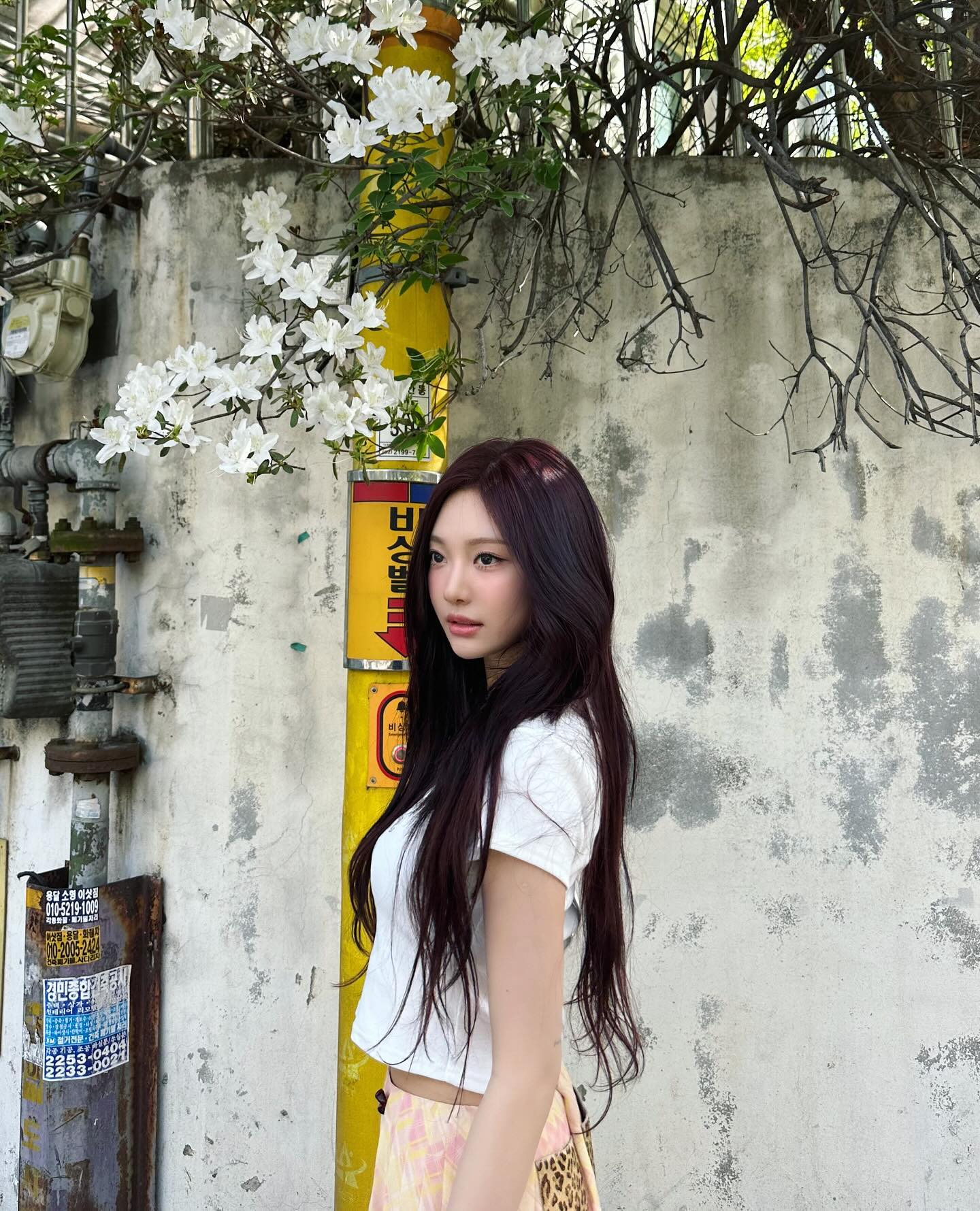 여름엔 미니스커트인거 알죠?☀️
반팔 하나에 미니스커트만 입어도 여름 준비 완료! 이미지