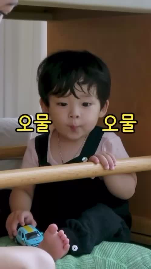 카더정원 그 아기
이번엔 영란이모네 다녀왔어요.💕 이미지
