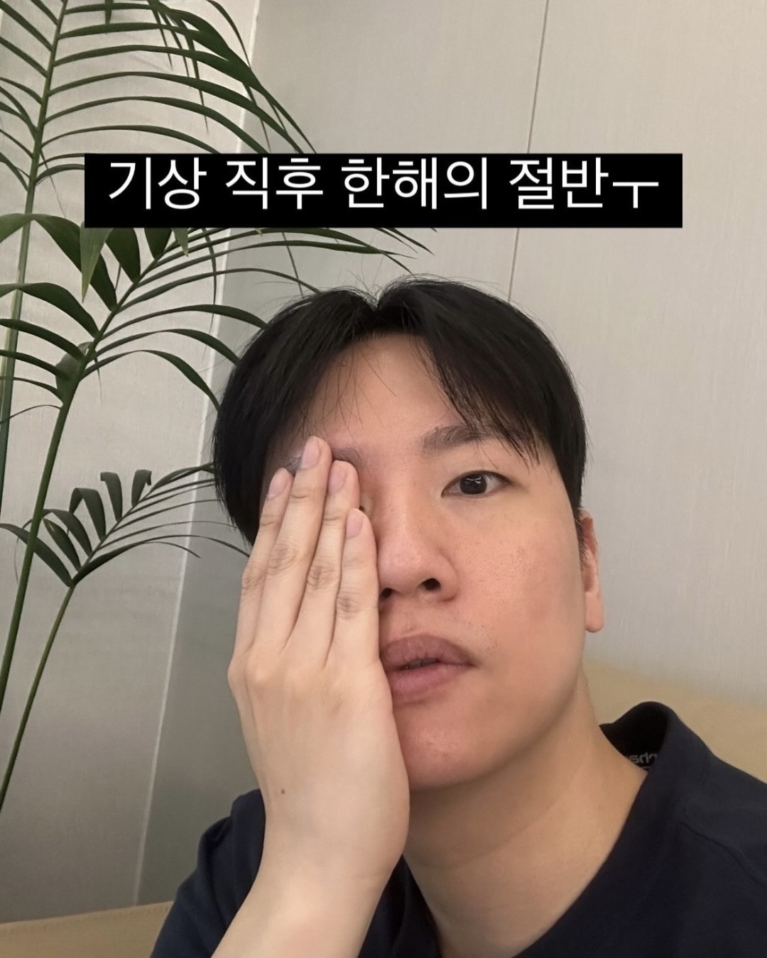 밈