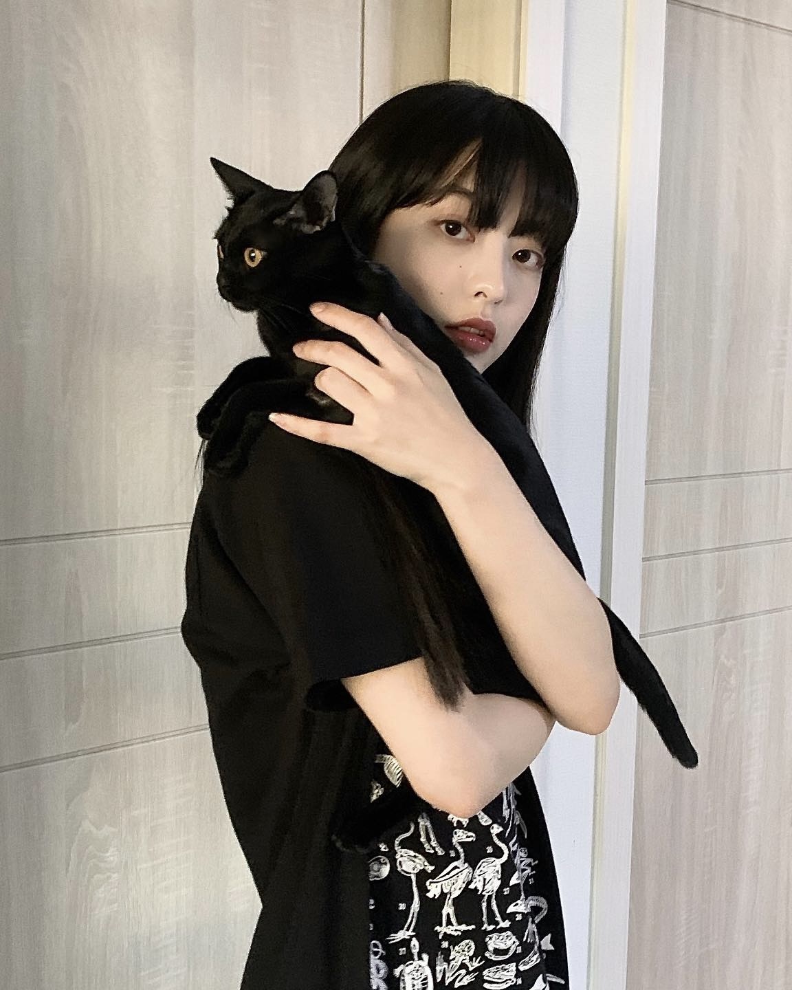 고양이랑 찍을 땐 이 각도가 국룰🐈
이걸 모르면 당신은 아직 초보 냥집사, 얼른 따라 해보세요📸 이미지