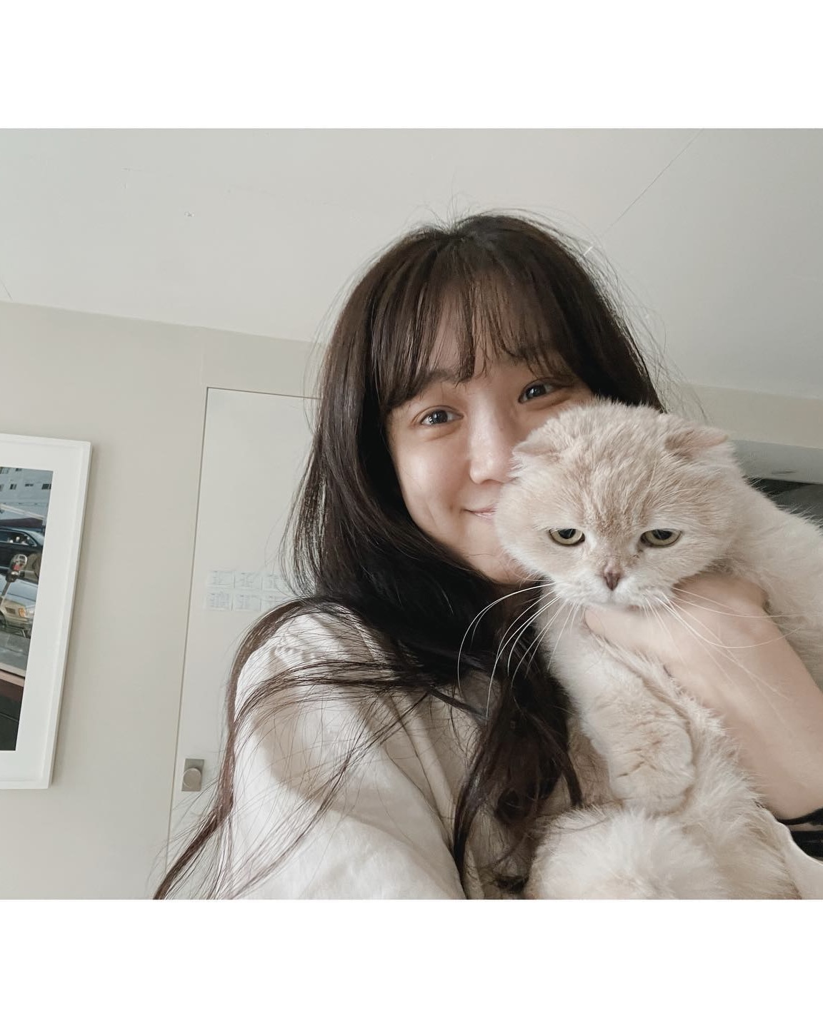 고양이랑 찍을 땐 이 각도가 국룰🐈
이걸 모르면 당신은 아직 초보 냥집사, 얼른 따라 해보세요📸 이미지