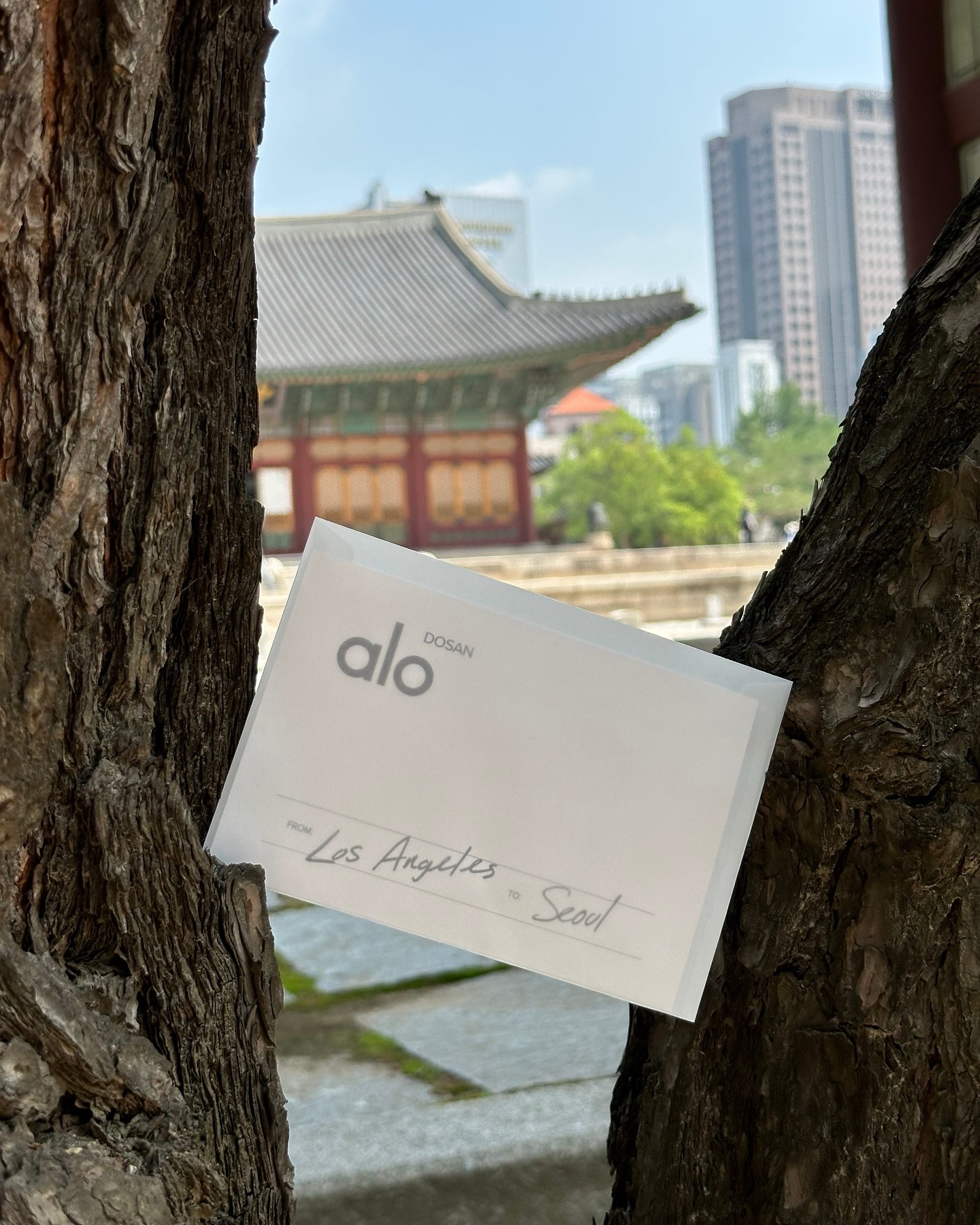 켄달 제너가 입는 그 브랜드✨
이젠 서울 도산에 해외배송 기다릴 필요 없다. D-4🎊

켄달 제너가 즐겨 입는 알로의 아시아 플래그십스토어가 서울 도산에서 곧 문을 엽니다.

셀럽이 사랑하는 브랜드 알로가 7월 4일 서울 강남구 도산공원 인근에 아시아 최초 플래그십스토어를 공식 오픈합니다. 총 6층, 루프탑 테라스와 정원, 요가·웰니스 공간 및 VIP 섹션까지 완비하여 단순 매장이 아닌 문화·라이프스타일 공간으로 설계되었습니다 .

켄달 제너가 입은 레깅스와 탱크탑을 이젠 도산에서 직접 입어보고 구매할 수 있습니다. 해외 배송 없이 바로 소장 가능합니다.

요가룸·카페·정원을 갖춘 매장에 BTS 진 캠페인 비주얼도 함께 공개 예정입니다. 쇼핑을 넘어선 체험형 웰니스 공간입니다.

켄달 제너가 입은 제품을 해외 직구 없이 직접 체험하는 기회, 그리고 완벽한 웰니스 공간이라는 요소로 소비자의 마음을 사로잡습니다. 이번 7월 모임은 도산에서 해야 하는 이유, 바로 여기 있습니다.

- 위치: 서울 강남구 도산대로 45길
- 일정: 7월 4일(금) 오전 11시 오픈 이미지4