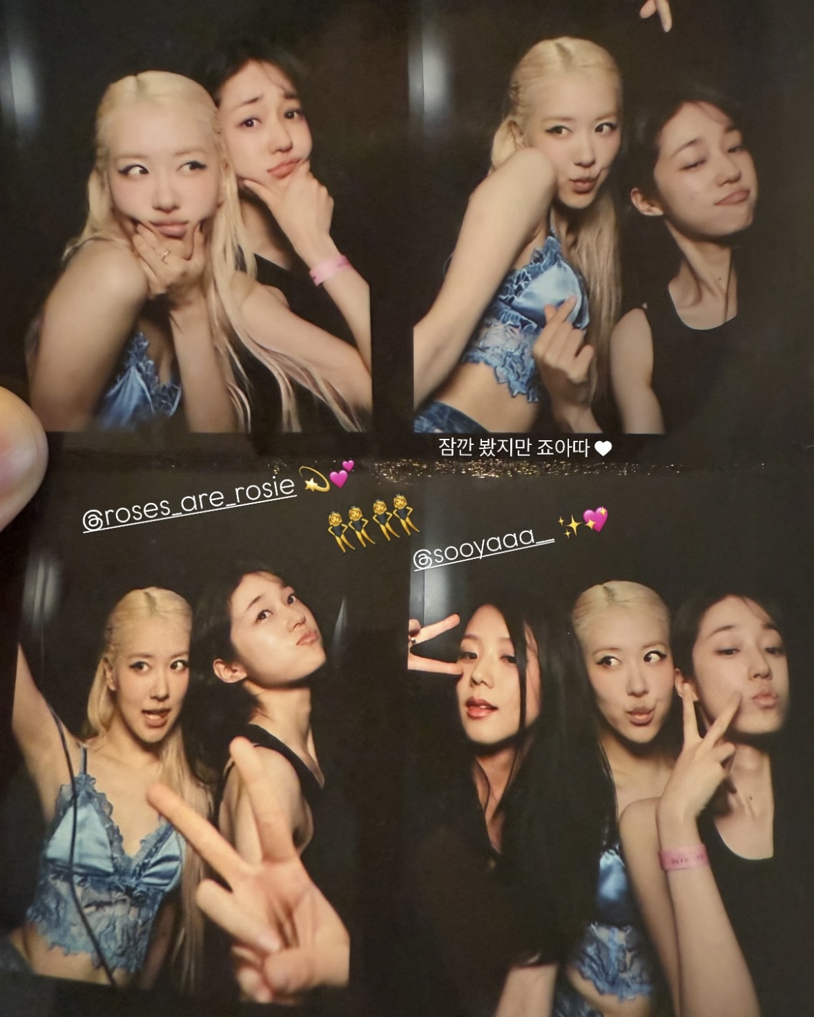 로제 이미지