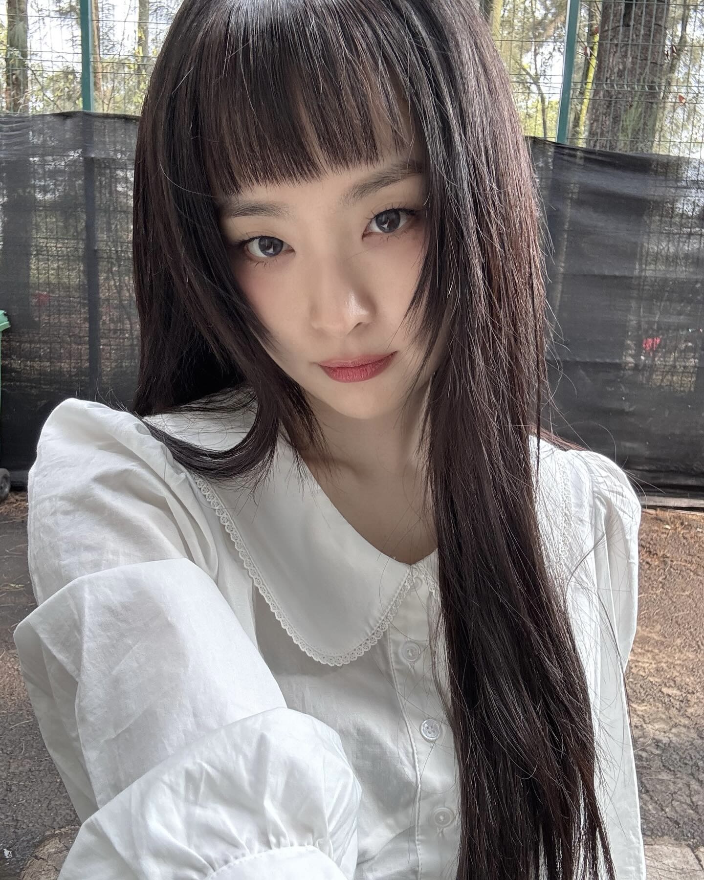 슬기 이미지
