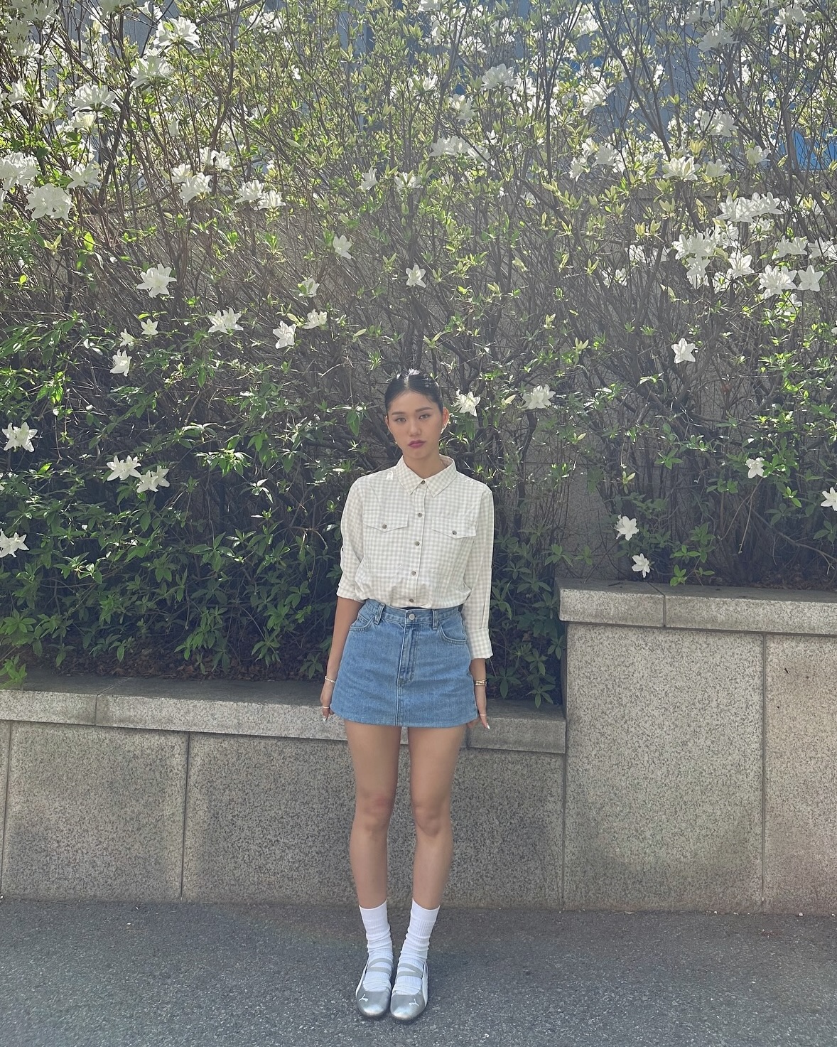 미미 이미지