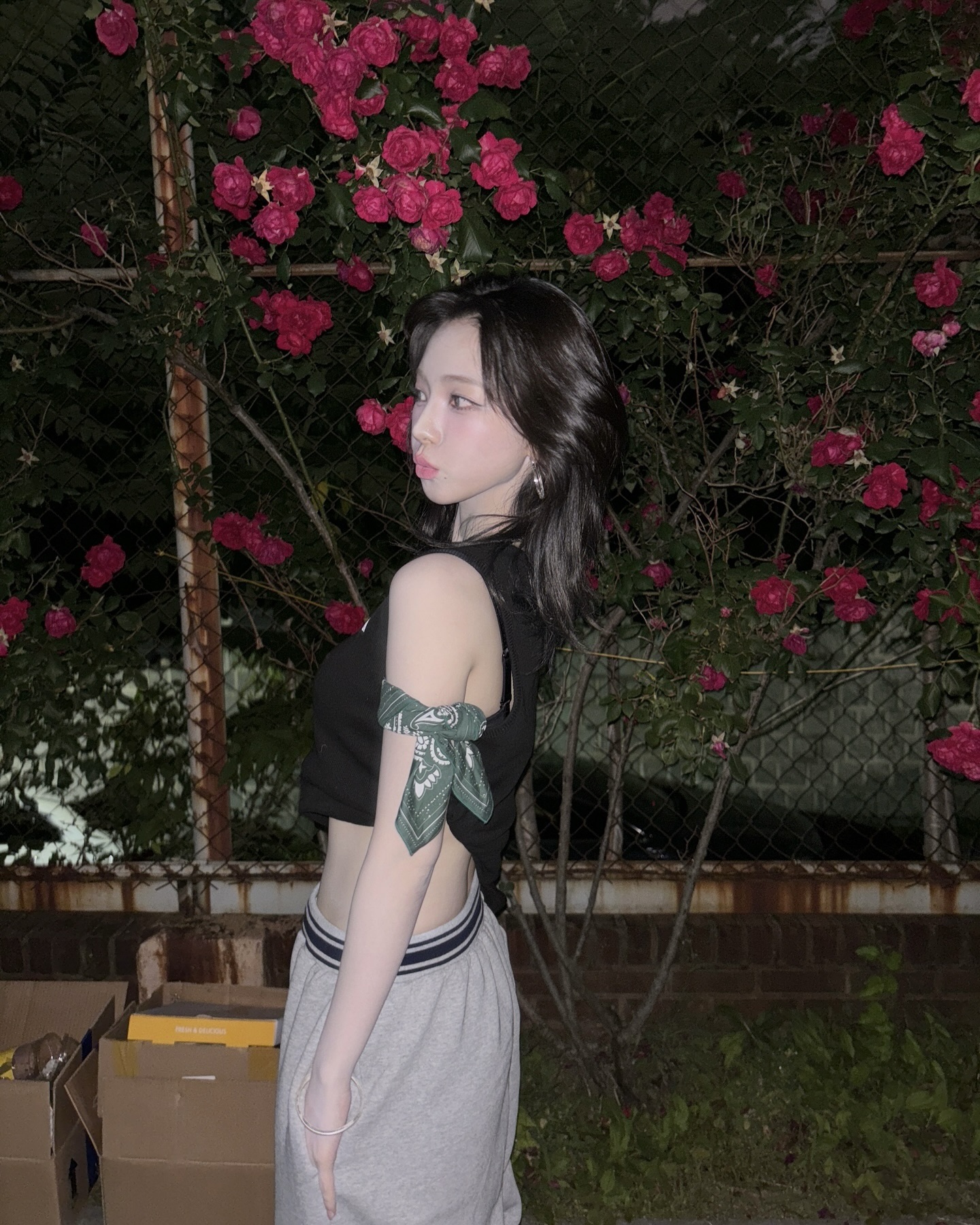 카리나 이미지