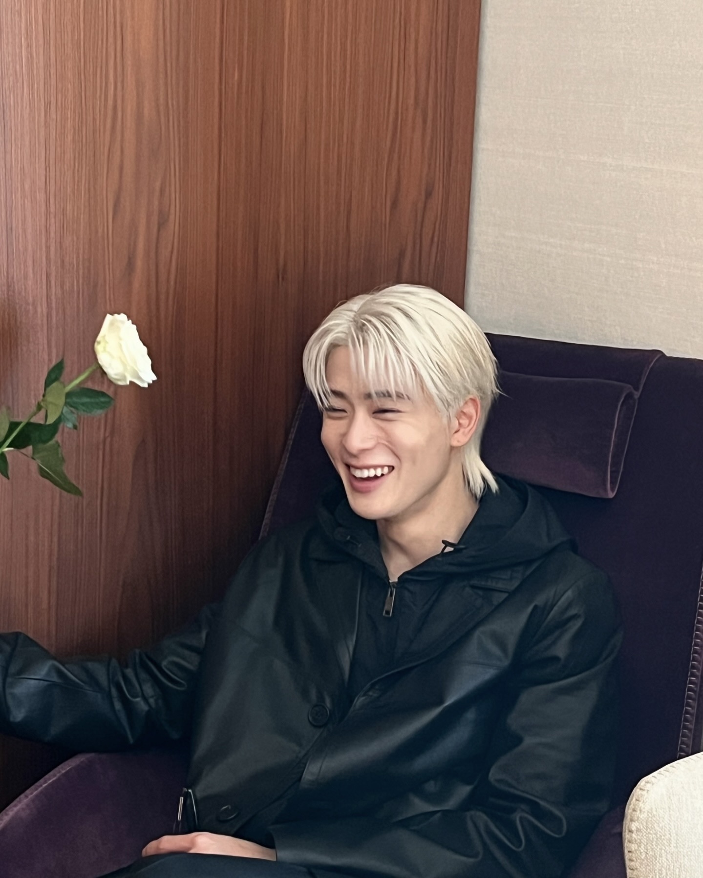 세계 고양이의 날 기념🐈🧡
고양이상 연예인 중, 여러분의 원픽은 누구인가요?🐾 이미지4