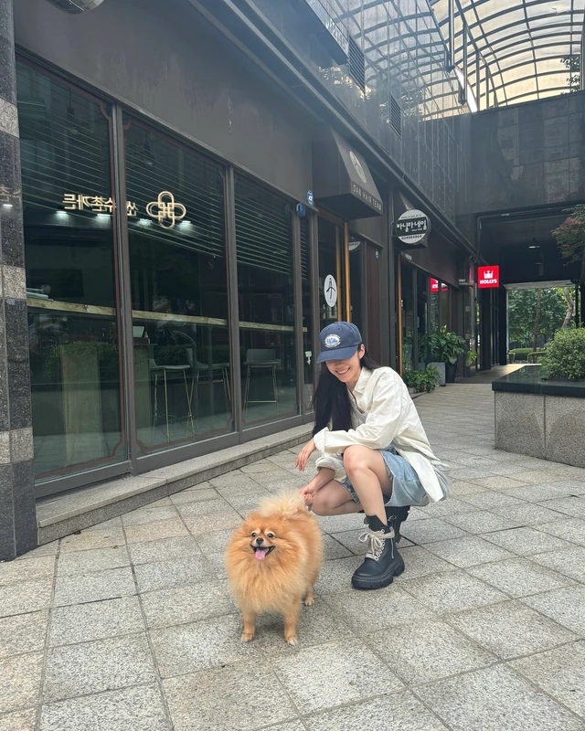 연관 토픽 이미지