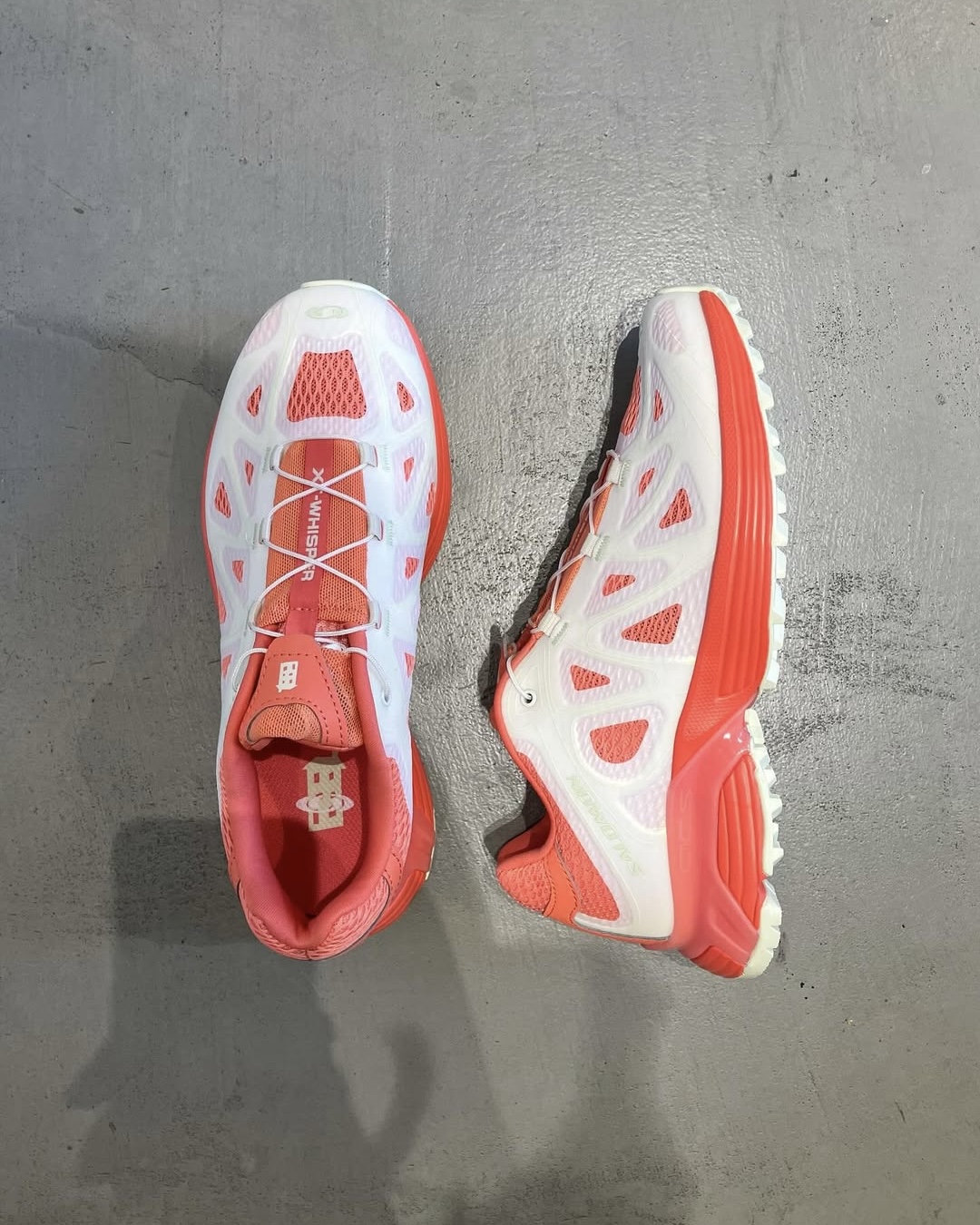 살로몬과 아마루의 만남👟🇬🇧 이미지3
