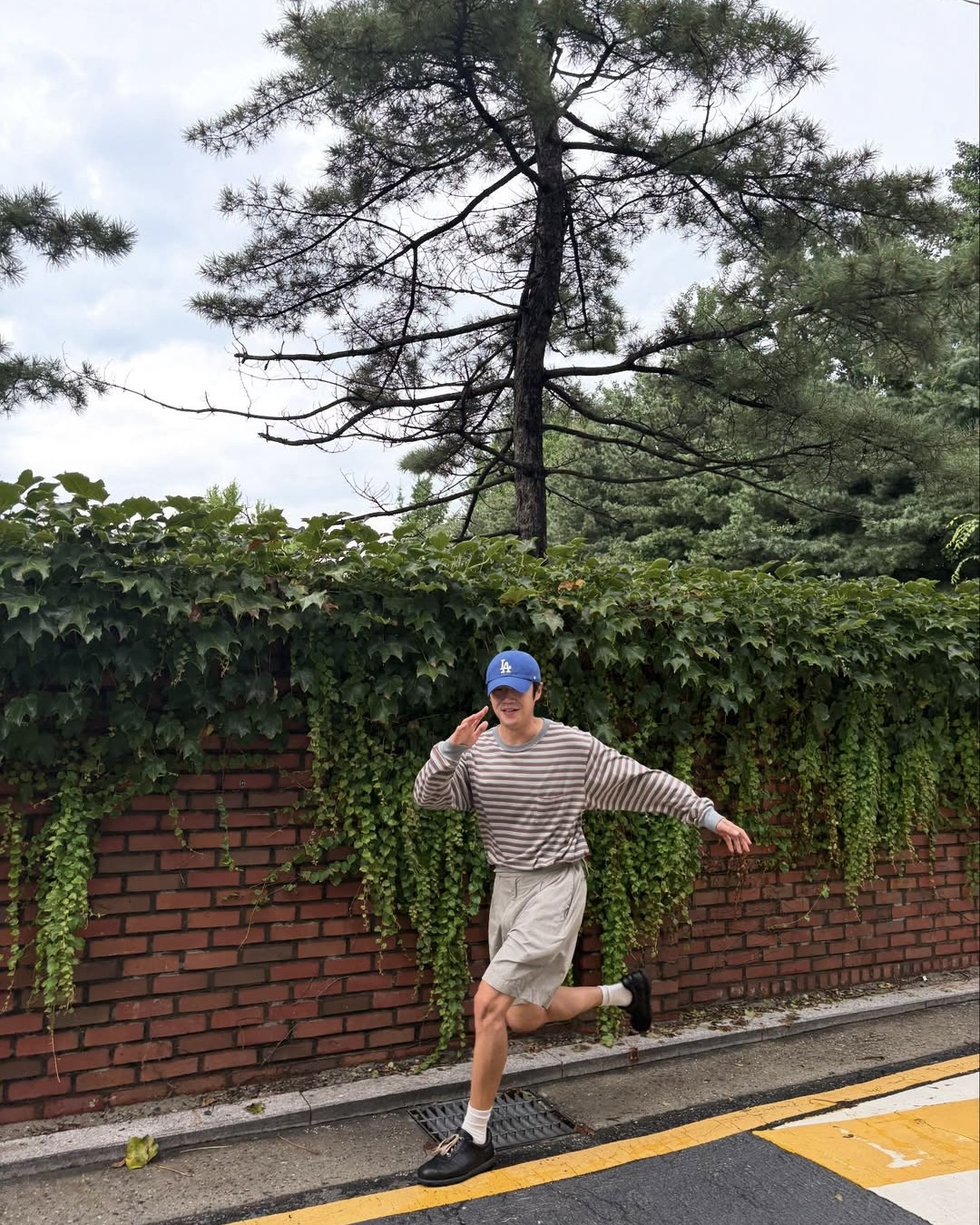 얇은 스트라이프 티 툭🎲 이미지