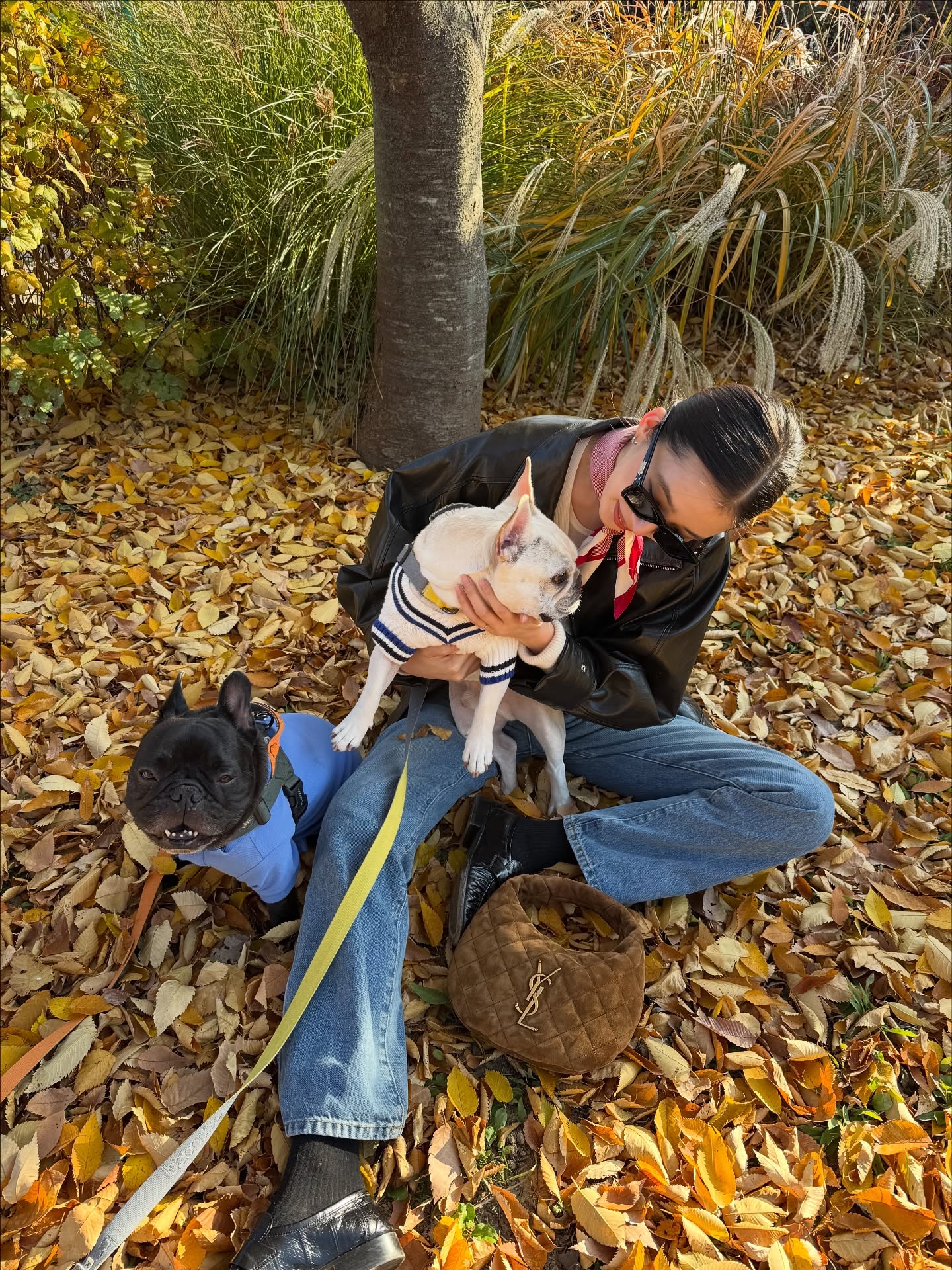 스카프만 있으면 분위기 확 달라져🤍
목, 헤어, 가방 모두 활용 가능하니까✨🖤가을 마무리는 스카프로! 이미지5