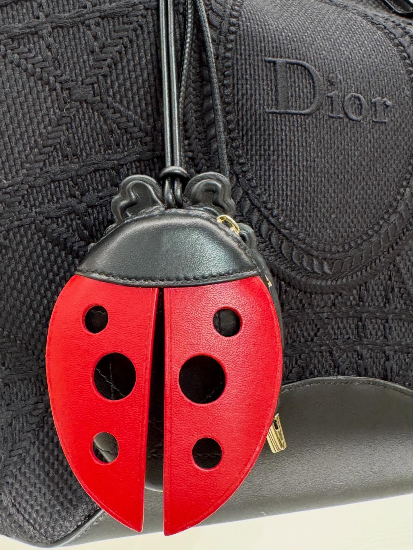 미리보는 디올의 프리폴✨
조나단 앤더슨의 2026 Pre-Fall 라인업
조나단 앤더슨이 디올 2026 프리폴 쇼룸 라인업을 공개했습니다. 무당벌레와 파인애플 주얼리부터 레이디 디올 백의 니팅 플라워 버전까지, 앤더슨의 공예적 디테일이 담긴 작품들이 시선을 끄는데요.
디올 시그니처를 담은 새틴 샌들부터 클래식 슈즈 라인까지 더해지며 우아하고 조형적인 앤더슨의 프리폴 무드, 지금 바로 확인해보세요. 이미지4