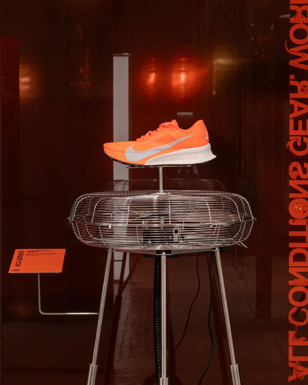 트레일 러닝에 적합한 acg템🌋 이미지8