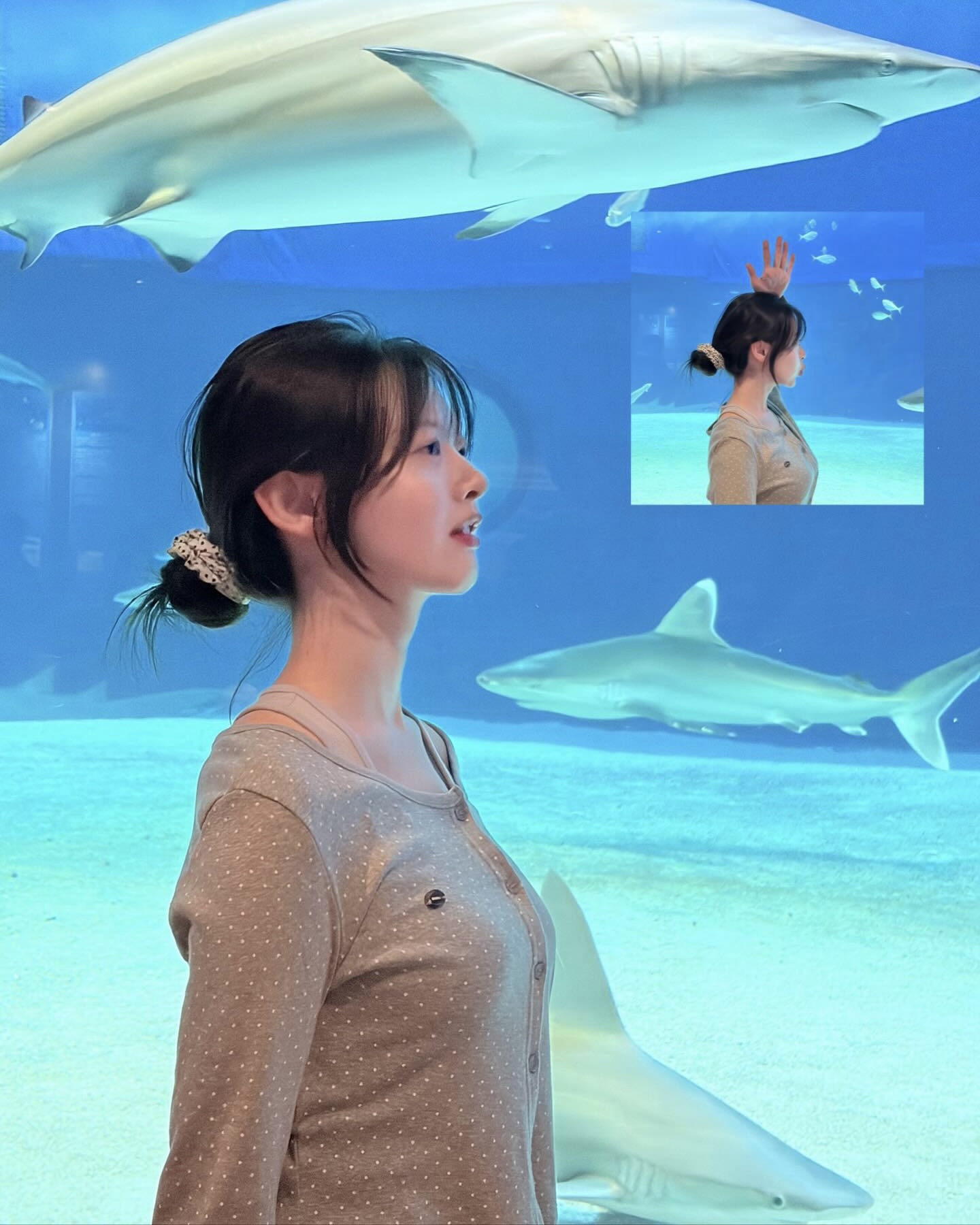 뒷모습까지 센스 있게🎀
포인트 주고 싶은 날엔 스크런치 하나 챙겨🩵✨
스크런치는 하나 있으면 유용하게 쓰는 아이템입니다. 일반 머리끈보다 볼륨감이 살아나 묶었을 때 뒷모습이 덜 밋밋해 포인트로 쓰기 좋은데요. 실크나 새틴 같은 소재는 머리 자국이 덜 남아 데일리로 손이 자주 갑니다.
활용법도 어렵지 않아요. 포니테일이나 반묶음 등 어디든 묶기 쉽고, 손목에 걸쳐두기만 해도 액세서리처럼 스타일링이 완성되죠. 외출하기 전, 포인트 주고 싶은 날엔 패턴이나 컬러 스크런치 하나 챙겨보세요. 이미지2