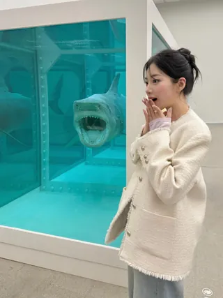 데이트와 약속 많아지는 봄🌷
어디 갈지 고민 중이라면 전시회 3곳 체크해 두자📌🦈
이번 주말 가볼 만한 전시 3곳, 저장해두세요.
1. 진실은 없어, 그러나 모든 것은 가능하지
죽음과 영생, 과학과 믿음, 예술과 시장을 주제로 대표작과 신작을 아우르며 작품 세계를 조명하는 전시입니다. 데이미언 허스트의 아시아 최초 대규모 개인전으로 6월 28일까지 국립현대미술관에서 만나볼 수 있습니다.
2. 우리 이토록 작은 존재
보이저 1호가 포착한 창백한 푸른 점에서 출발한 전시로 13명의 작가가 감정과 시간, 일상의 소중함을 각자의 시선으로 풀어냅니다. 광활한 세계 속 인간의 작고 유한한 존재를 돌아보게 하며 8월 8일까지 제주 포도 뮤지엄에서 관람할 수 있습니다.
3. 소멸의 시학: 삭는 미술에 대하여
썩고 사라지는 삭는 미술을 통해 변화와 소멸의 의미를 탐색하는 전시입니다. 아사드 라자의 흡수는 빛과 공기, 관람자까지 스며들며 변화하는 작업으로 공간의 흐름을 느껴볼 수 있죠. 5월 3일까지 현대미술박물관에서 관람할 수 있습니다. 이미지