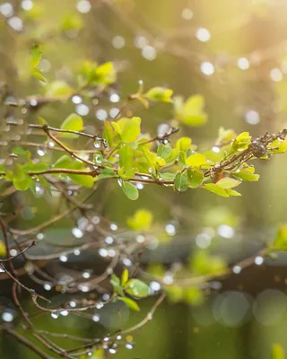 4일 전국 봄비, 비 내리고 강풍 예상🌂
미세먼지 농도는 '뚝'
주말인 오늘은 서울을 비롯한 전국 대부분 지역에 봄비가 내릴 전망입니다. 아침 최저기온은 8∼14도, 낮 최고기온은 14∼21도로 평년과 비슷한 수준이나 낮과 밤의 기온차가 크게 벌어져 바람막이, 가디건 등 가볍게 입고 벗을 수 있는 외투를 준비하는 것이 좋겠습니다. 한편 제주도와 남해안을 중심으로 강한 비와 강풍이 예상된다고 하니 안전사고에 유의하시길 바랍니다. 이 비는 4일 낮 대부분 그치겠지만 5일 밤부터 6일 오전 사이 중부지방을 중심으로 다시 비가 올 가능성이 있다고 합니다.
이미지
