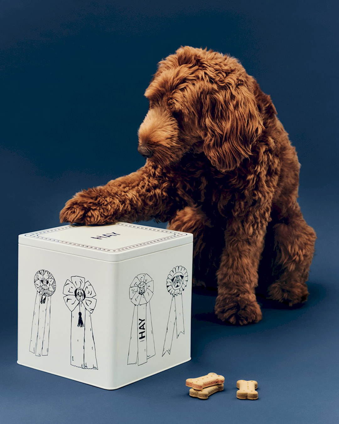 우리 강아지도 감성 챙기자🐾
헤이 디자인에서 도그 컬렉션까지?🤍🐕
헤이 (HAY) 디자인이 반려동물을 위한 'Dogs Collection' 제품을 출시했습니다. 해당 라인업은 Holly Golightly와의 협업으로 탄생했으며, 리드줄을 비롯해 쿠션, 건식 사료 틴 케이스, 스카프, 사료 그릇, 로프 토이, 트래블 블랭킷 등 총 8가지 제품으로 구성됩니다.
HAY 디자인만의 섬세한 감성이 더해져, 반려견과의 일상에 행복을 불어넣어주는 이번 컬렉션은 HAY 공식 홈페이지에서 만나보실 수 있습니다.
이미지6