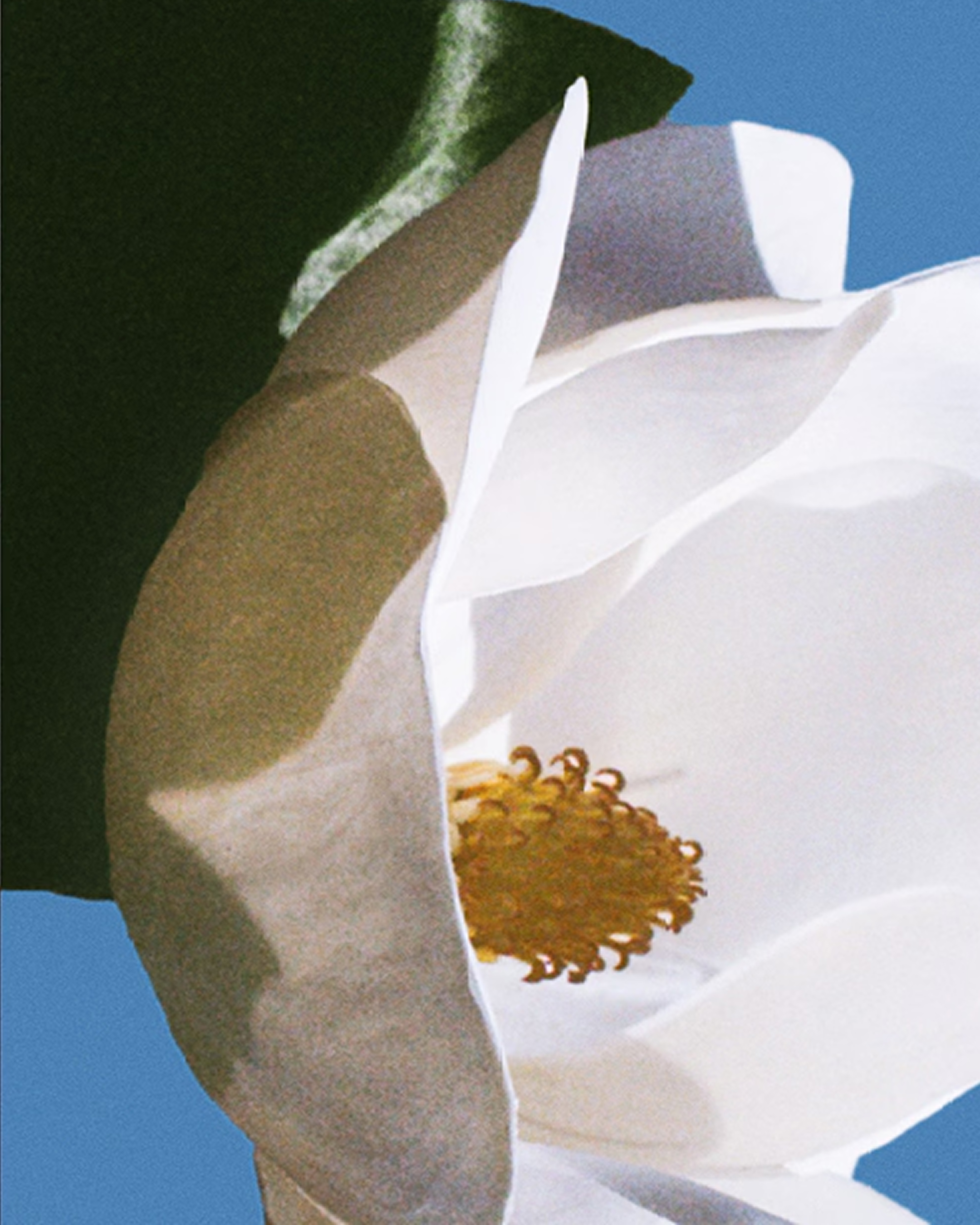 지나가다 맡으면 돌아보게 되는 향💐
여름은 옷보다 향이 먼저 기억되는 계절이죠. 상큼한 시트러스부터 화사한 플로럴까지. 무더운 날에도 분위기를 완성해 주는 향수 5가지를 소개합니다.
1. 산타 마리아 노벨라 비자리아
레몬과 비터 오렌지가 어우러진 시트러스 향수입니다. 갓 수확한 과일의 싱그러움과 지중해 정원의 청량한 공기를 담아내 무더운 여름에도 산뜻하게 즐기기 좋은 향이죠.
2. 르 라보 리스 41
풍성한 백합을 중심으로 화이트 플라워가 어우러진 플로럴 향수입니다. 깨끗하면서도 우아한 분위기를 지녔으며 은은하게 퍼지는 세련된 인상이 돋보이는 매력적인 향이죠.
3. 에디션 드 퍼퓸 프레데릭 말 오 드 매그놀리아
상쾌한 시트러스와 매그놀리아의 부드러운 꽃향이 조화를 이루는 향수입니다. 화려한 꽃다발보다는 깨끗하게 정돈된 분위기를 연상시키는 우아함을 느낄 수 있는 향이죠.
4. 푸에기아 1833 자카란다
싱그러운 세이지와 깊이감 있는 파출리가 어우러진 향수입니다. 숲속을 산책하는 듯한 그린한 무드와 차분한 우디 노트가 자연스럽게 이어지는 신비로운 매력을 지닌 향이죠.
5. 엑스 니힐로 러스트 인 파라다이스
화사한 작약꽃과 화이트 플라워가 어우러진 플로럴 향수입니다. 갓 피어난 꽃잎의 싱그러움에 부드러운 머스크가 더해진 꽃다발을 떠올리게 하는 로맨틱한 향이죠. 이미지7