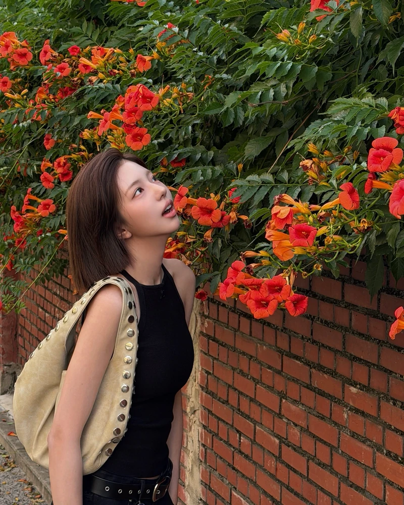 능소화 포토스팟? GMG💦🩷
여름이 오면 꼭 한 번은 찾아가게 되는 능소화의 계절이 돌아왔습니다. 벽을 가득 채운 주황빛 꽃 앞에서는 평범한 옷차림도 훨씬 화사하게 보이는데요. 이번 주말, 사진 남기기 좋은 능소화 스팟을 찾아가보세요.
한강 산책과 골목 구경까지 함께 즐기기 좋고, 벽을 따라 흐드러지게 핀 꽃 덕분에 어디서 찍어도 여름 분위기가 가득합니다. 친구, 연인, 가족이랑 주황빛 꽃벽 앞에서 사진 남기고 싶다면 놓치기 전에 저장해두세요.
📍 뚝섬한강공원 능소화벽
📍 북촌 가회동 성당 아래 골목
📍 후암동 능소화 골목
📍 약수동 옹벽
📍 홍릉수목원 이미지1