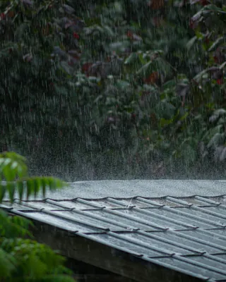지각 장마' 제주 상륙, 주말쯤 전국 확대🌧️
30일 밤 제주를 시작으로 올해 장마가 본격화될 전망입니다. 남부지방은 7월 1일 새벽 첫 장맛비가 예상되며, 평년보다 제주는 11일, 남부는 8일 늦은 시작입니다.
이번 주말부터는 중부지방까지 장마철에 돌입할 것으로 예상되는 가운데, 금요일인 7월 3일에는 전남, 4일은 충청 이남, 6일은 전국에 비가 예보됐습니다. 이미지
