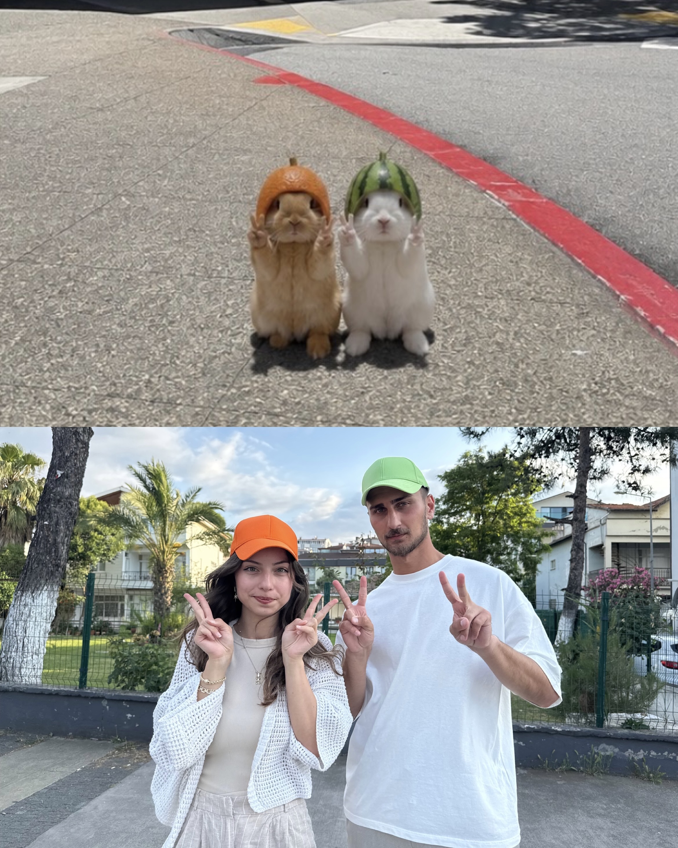 귀여운 동물짤을 참고해보세요📸🤍
서로 꼭 붙어 있는 고양이부터 익살스러운 표정을 짓는 원숭이까지, 인터넷에서 한 번쯤 봤던 귀여운 동물들이 요즘 포즈 레퍼런스로 떠오르고 있습니다. 친구와 닮은 동물짤을 골라 같은 구도와 표정을 따라 해보는 건데요. 원본 동물짤과 따라 찍은 사진을 함께 넣어 더 귀엽고 웃긴 포토 덤프를 완성해보세요. 이미지5
