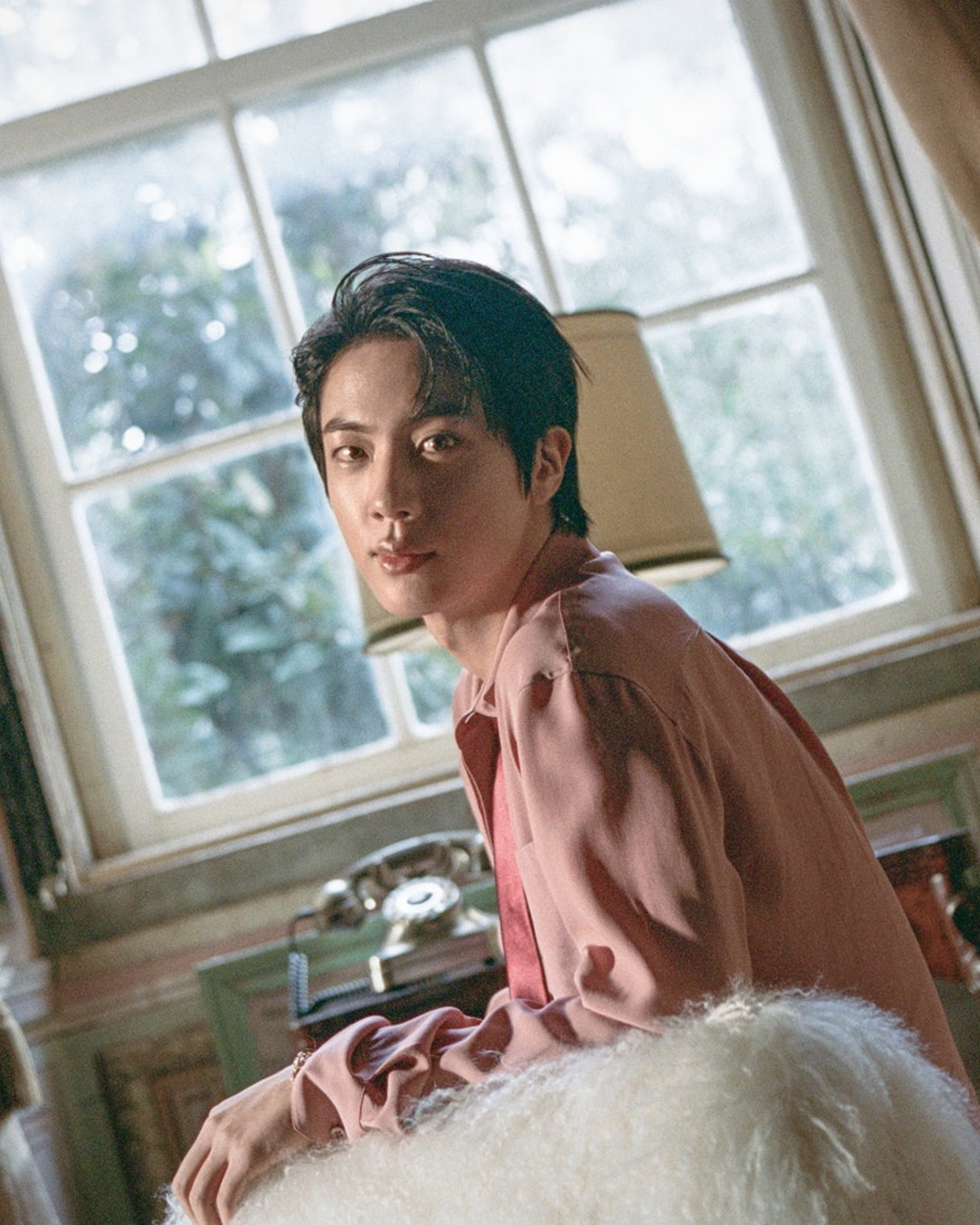 진
