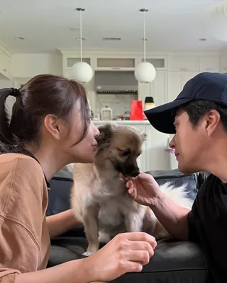 뉴저지에서 가장 행복한 강아지🐶🐾
새끼들을 먼저 보내고 안락사 명단에 올랐던 아픔을 가진 강아지, 초파.
동물구조단체 위액트(WEACT)를 통해 기적처럼 구조된 초파는 한국에서는 끝내 가족을 찾지 못했지만 임시보호에서 정식 입양까지, 배우 손태영·권상우 부부의 따뜻한 마음이 안락사 위기에 있던 유기견 초파에게 새로운 기적을 선물했습니다.
이제는 엄마, 아빠는 물론 자녀 룩희군, 리호양, 그리고 고양이 벨라와도 사이좋게 지내는 매일을 보내고 있는데요.🏠
최근 공개된 영상과 사진 속 초파는 뉴저지의 한적한 동네를 기분 좋게 산책하고, 햇살 가득한 거실에서 고양이 벨라와 창밖을 구경하는 등 완벽하게 적응한 모습으로 사랑을 듬뿍 받으며 뉴저지에서 가장 행복한 강아지로 살어가고 있습니다.
뉴저지에서 전해온 따뜻하고 평화로운 세 가족과 반려견 초파의 일상을 슬라이드를 넘겨 확인해보세요!📲🌿 이미지