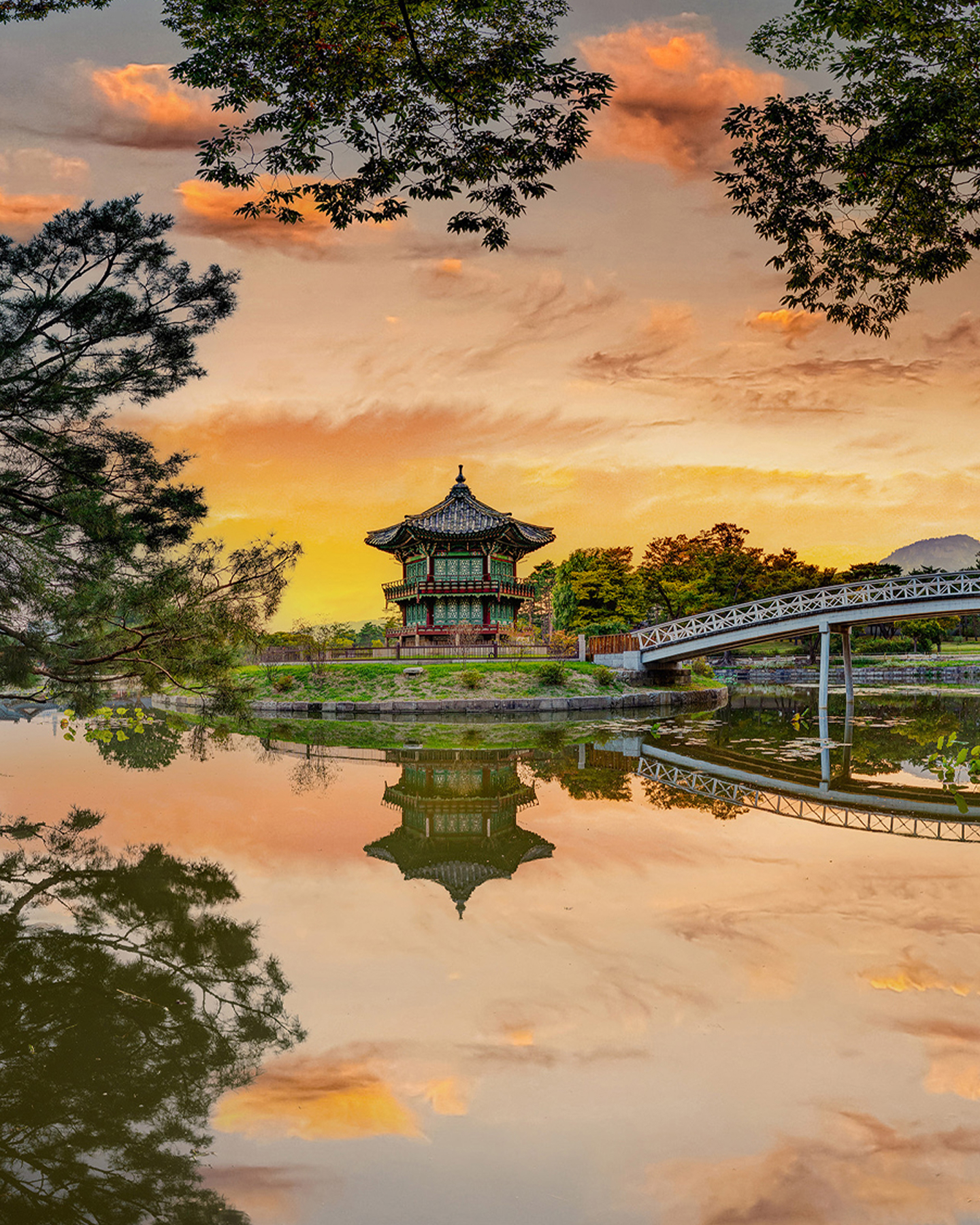 경복궁에서 가장 특별한 풍경✨
평소 들어갈 수 없던 경회루 2층과 향원정 내부가 한시적 개방
국가유산청 궁능유적본부가 9월 2일부터 10월 30일까지 약 두달 동안 ‘2026년 경회루, 향원정 특별관람’을 운영합니다.
매주 수, 금요일 하루 두 차례 운영하며 회차당 정원은 25명으로 제한되는데요. 하지만 추석 연휴 등 미운영일을 제외하면 실제 관람할 수 있는 기간은 총 15일입니다.
국보 경회루는 조선시대 왕이 신하들과 연회를 열고 외국 사신을 접대하던 공간. 특별관람에서는 평소 출입이 제한된 2층에 직접 올라 경복궁의 주요 전각과 주변 산세가 어우러지는 풍경을 감상할 수 있습니다. 보물 향원정의 내부 역시 이번 특별관람을 통해 만나볼 수 있습니다.
📍 2026년 경복궁 경회루, 향원정 특별관람
- 9월 2일 ~ 10월 30일 (매주 수, 금요일)
- 10시, 14시 / 회차당 최대 25명
- 궁능유적본부 홈페이지> 통합예약> 행사예약 모아보기> 경복궁
- 관람 희망일 9일 전 ~ 3일 전 선착순 예약 이미지1