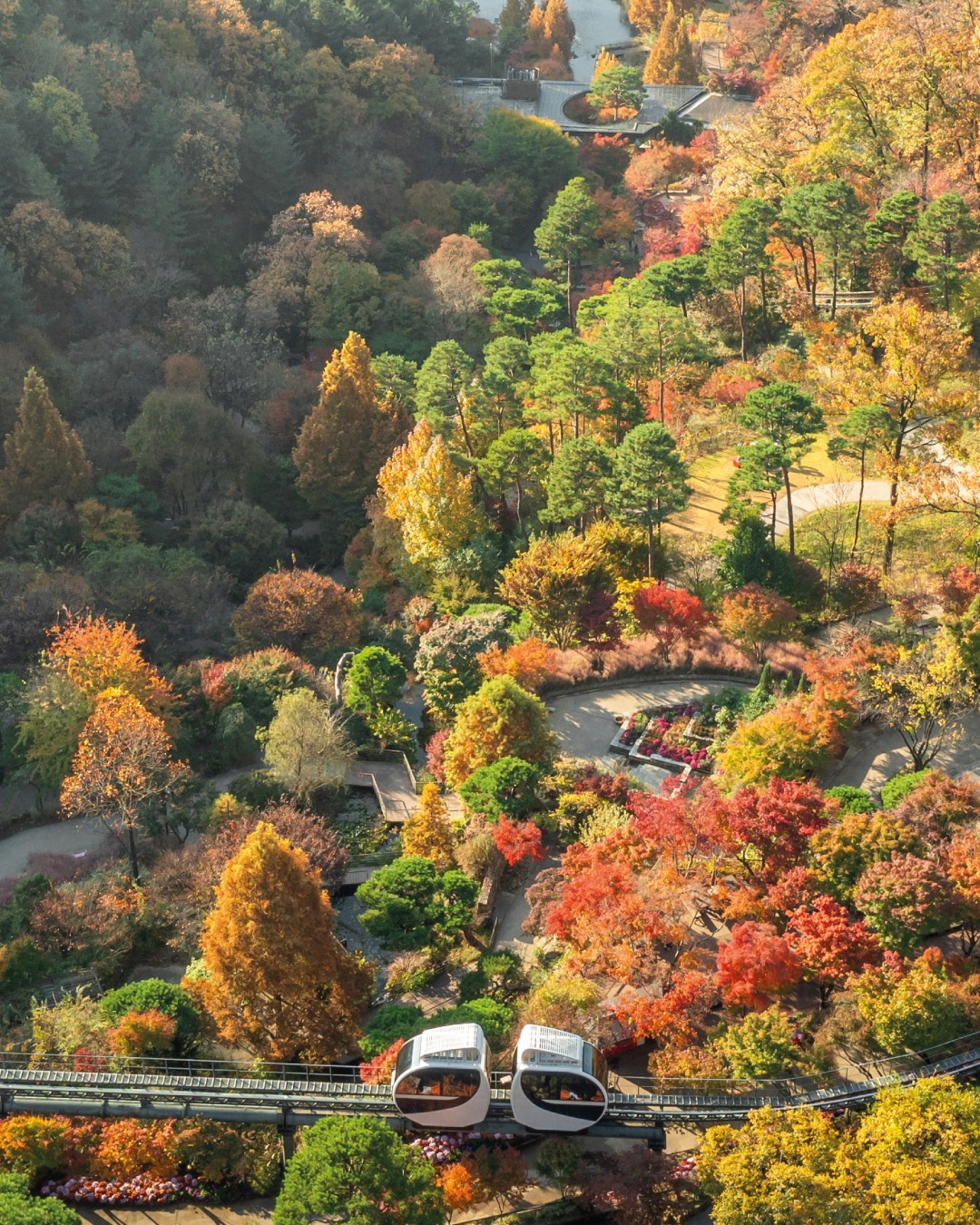 가을 단풍의 성지 '화담숲'🍂
9월 16일 오후 1시, 가을 성수기 예매 오픈
화담숲은 400여 종의 단풍나무과 숲 사이를 가로지르는 모노레일로 유명한 서울 근교 단풍 관광 명소인데요. 가을 단풍을 만끽할 수 있는 '화담숲' 가을 성수기 예매 오픈 일정이 공개됐습니다.
<2026 화담숲 가을 성수기 예매 안내>
📍 경기 광주시 도척면 도척윗로 278-1
- 예매 오픈: 9/16(수) 13시
- 가을 시즌 운영 기간: 10/23(금) ~ 11/15(일) 이미지1