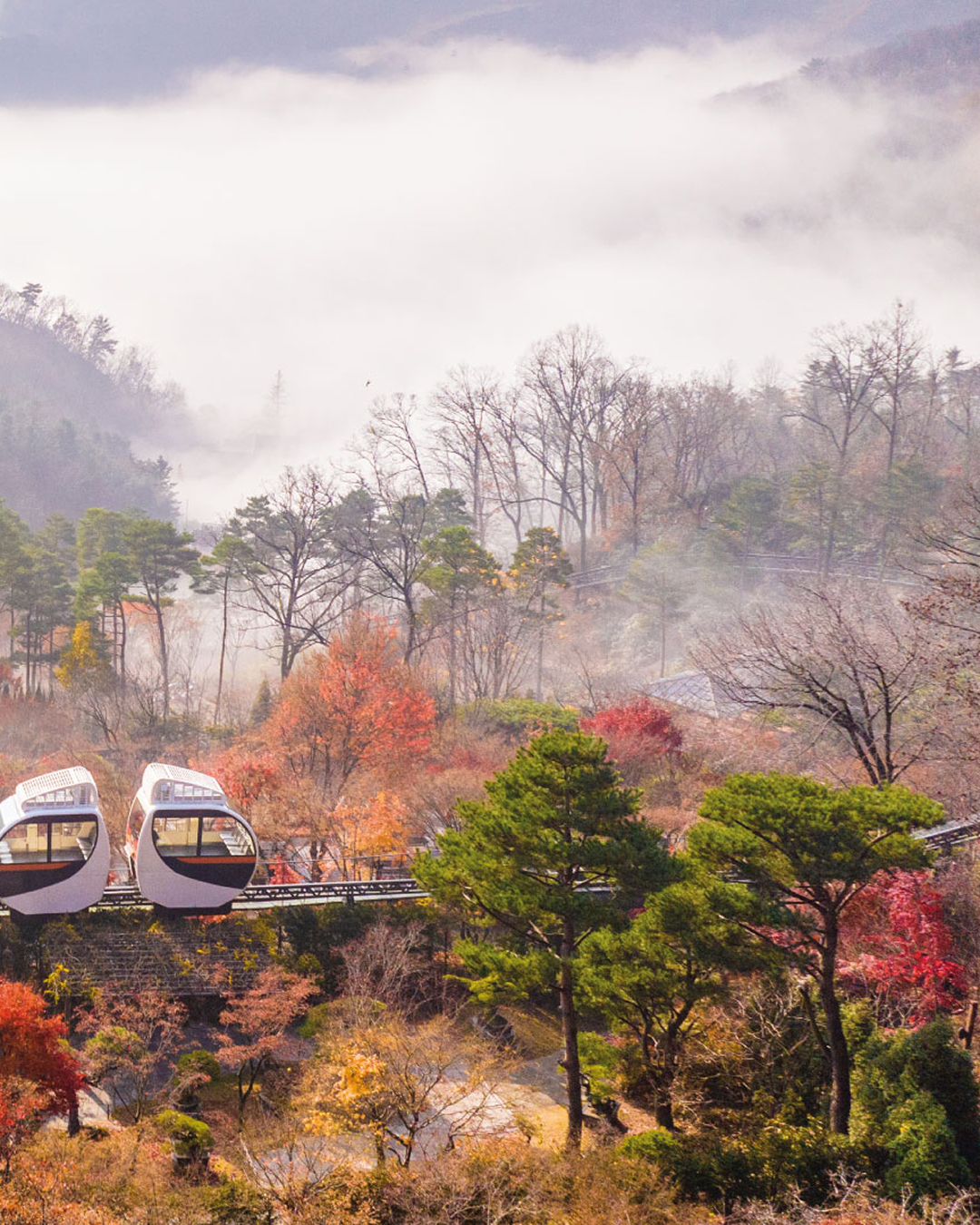 가을 단풍의 성지 '화담숲'🍂
9월 16일 오후 1시, 가을 성수기 예매 오픈
화담숲은 400여 종의 단풍나무과 숲 사이를 가로지르는 모노레일로 유명한 서울 근교 단풍 관광 명소인데요. 가을 단풍을 만끽할 수 있는 '화담숲' 가을 성수기 예매 오픈 일정이 공개됐습니다.
<2026 화담숲 가을 성수기 예매 안내>
📍 경기 광주시 도척면 도척윗로 278-1
- 예매 오픈: 9/16(수) 13시
- 가을 시즌 운영 기간: 10/23(금) ~ 11/15(일) 이미지2