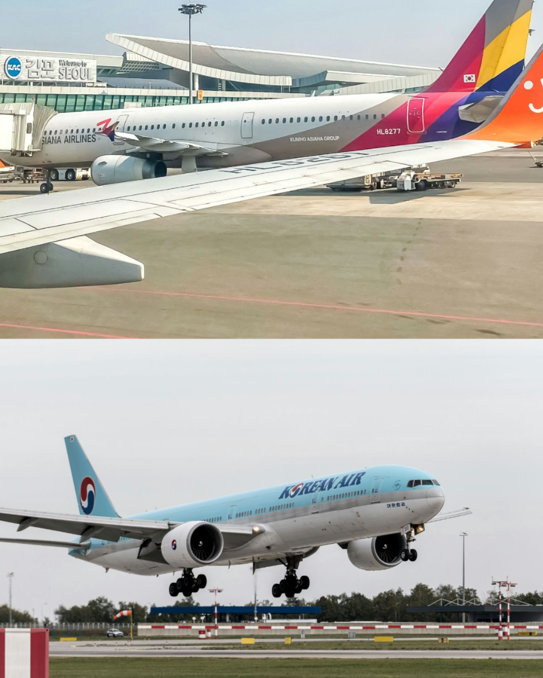 여행