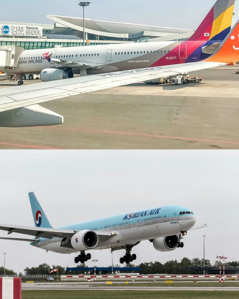 아시아나 마일리지, 10년 더 쓴다 ✈️
공정거래위원회가 대한항공과 아시아나항공의 마일리지 통합방안을 최종 승인했습니다. 오는 12월 17일 양사 통합 이후에도 아시아나 마일리지는 10년간 별도로 관리되며 기존 공제 기준과 소멸시효를 적용받습니다. 대한항공이 운항하는 모든 노선에서 사용할 수 있습니다.
대한항공 마일리지로 전환할 경우, 탑승 마일리지는 1대1, 신용카드 등 제휴 마일리지는 1대0.82의 비율이 적용됩니다. 아시아나 우수회원에게는 기존 등급에 상응하는 대한항공 회원 매칭 등급이 부여됩니다. 마일리지 전환은 10년 동안 언제든 신청할 수 있지만 보유한 마일리지 전체를 전환해야 합니다. 이미지1