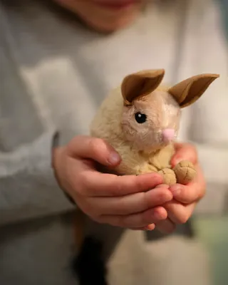 히말라야 동물 담은 이케아🐰🐼
ALPTALL 100% 재활용 소재 인형으로 야생동물 서식지 복원 기부까지!
이케아가 스웨덴 야생동물 보전센터 '노르덴스 아크'와 협업해 세 번째 어린이 컬렉션 ‘알프탈(ALPTALL)’을 출시했습니다!
이번 컬렉션은 숲과 고산지대가 공존하는 히말라야 일대의 야생동물들을 모티브로 제작되었는데요. 컬렉션의 핵심인 8종의 00% 재활용 소재 봉제인형은 놀라면 두 팔 들고 서있는 레서판다의 귀여운 습성과 같이 디테일하게 특징을 반영했습니다.
특히 이케아 코리아는 제품이 1개 판매될 때마다 1,000원씩 생명다양성재단에 기부하여 국내 야생동식물 서식지를 복원하는 사업을 지원한다고 합니다. 11/12까지 구매 시 실제 동물 포토카드도 증정된다고 하니, 귀여운 인형도 소장하며 착한 소비에 참여해 보세요.
📍 오프라인 스토어는 10/15부터, 온라인 및 앱은 11/1일부터 구매 가능 이미지