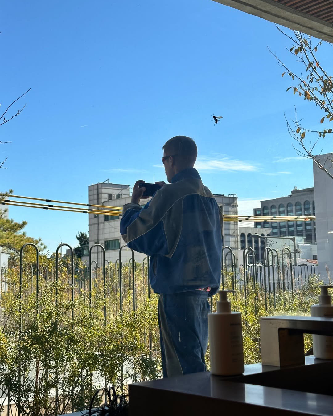 헤일리 비버